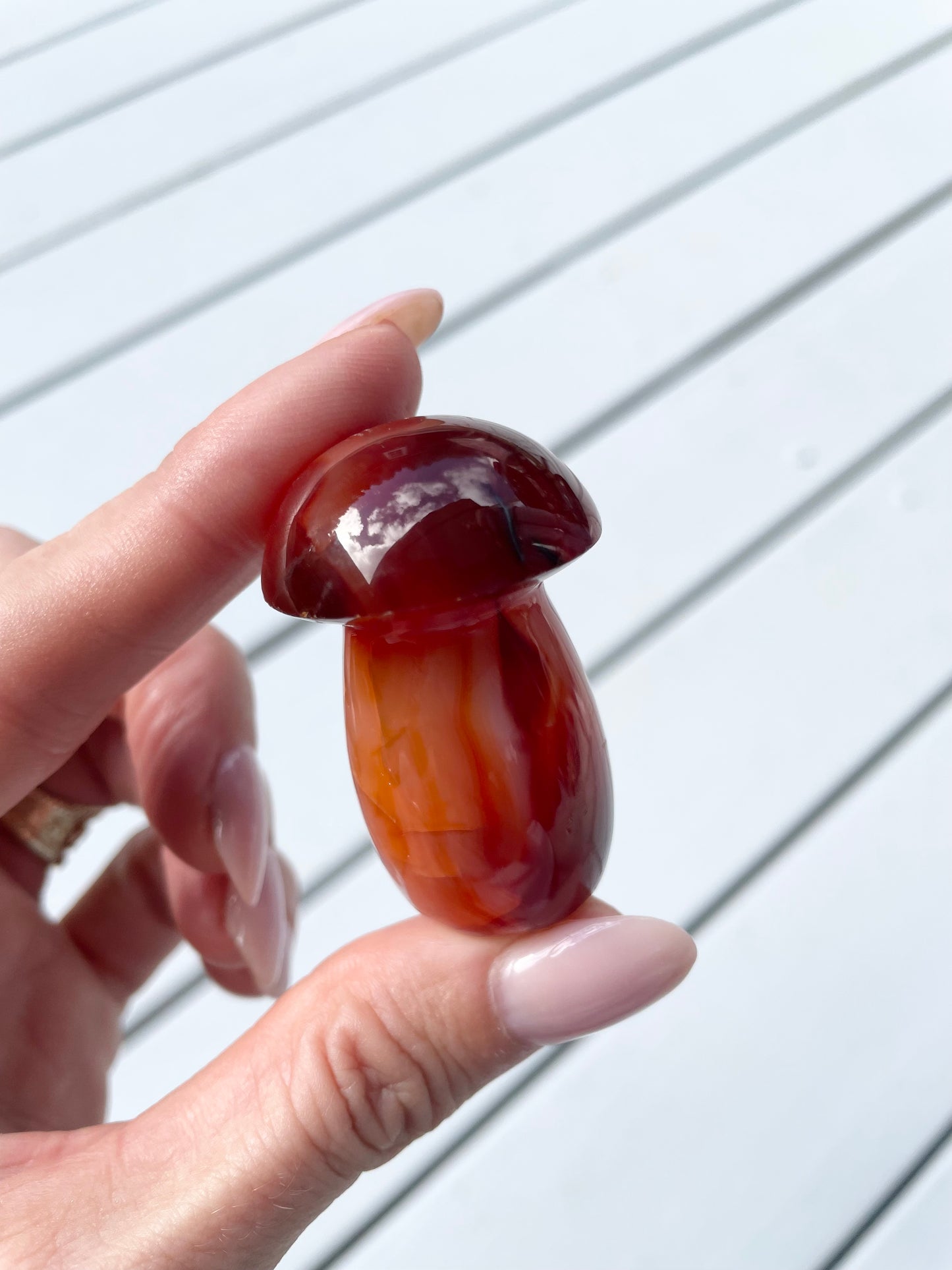 Carnelian Mushroom