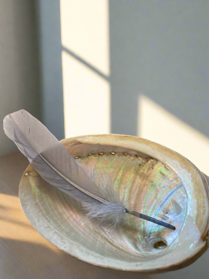 Shell Fether Abalone Shell with Feather ~ Set of 2 – MoonstoneGypsyAU