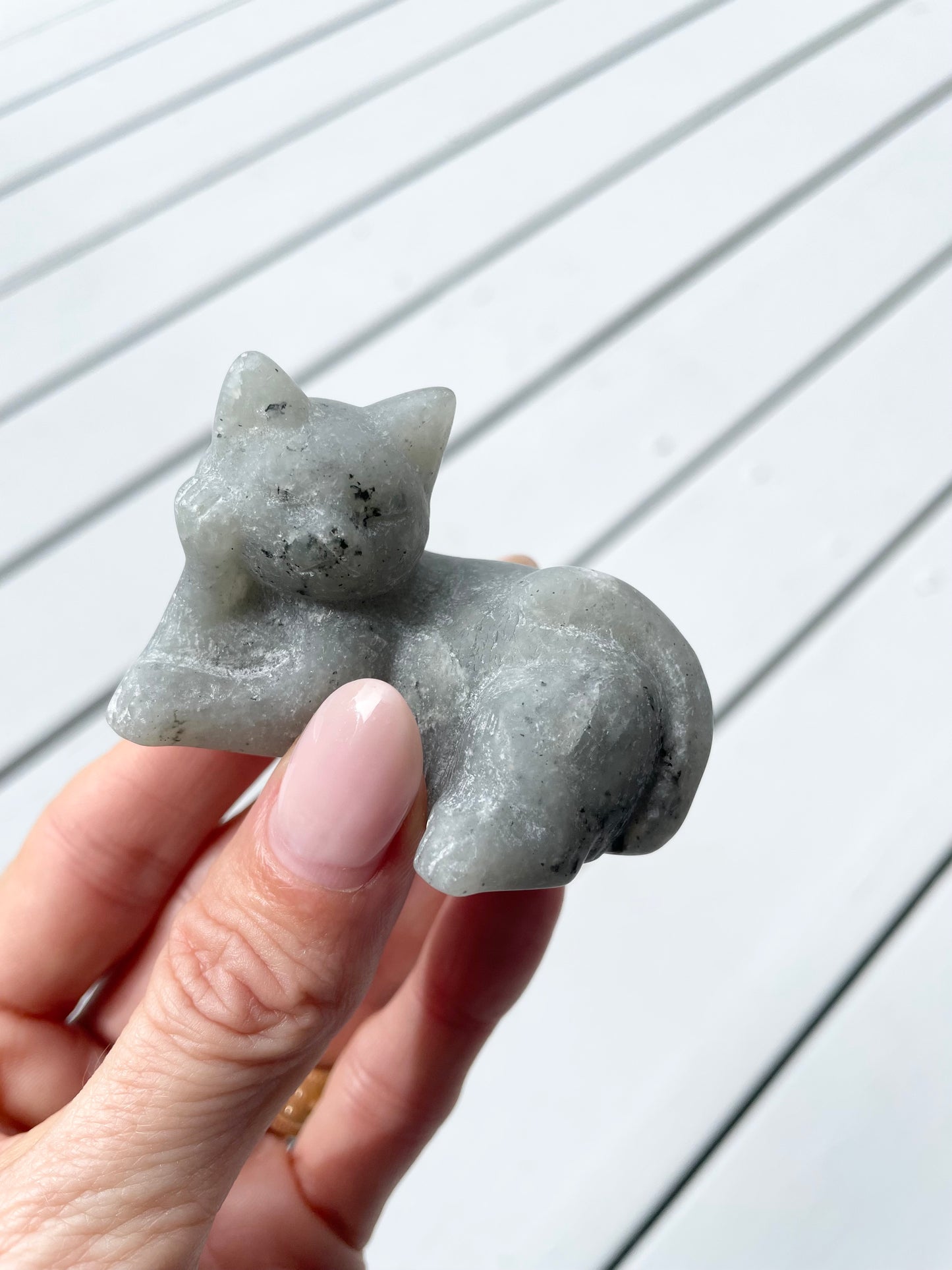 labradorite  Cat