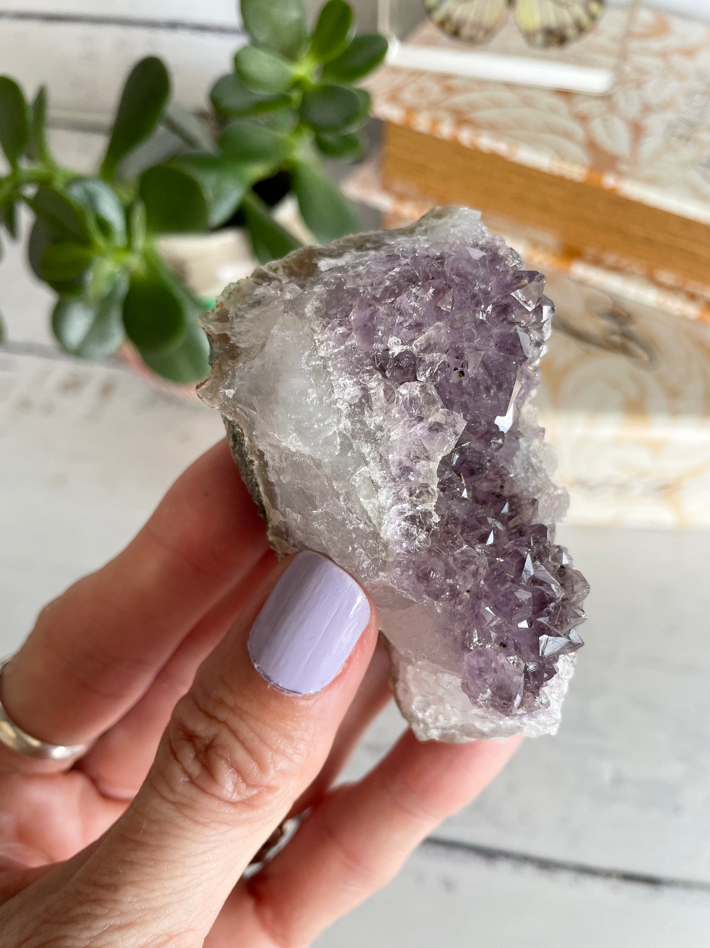 Amethyst Cluster