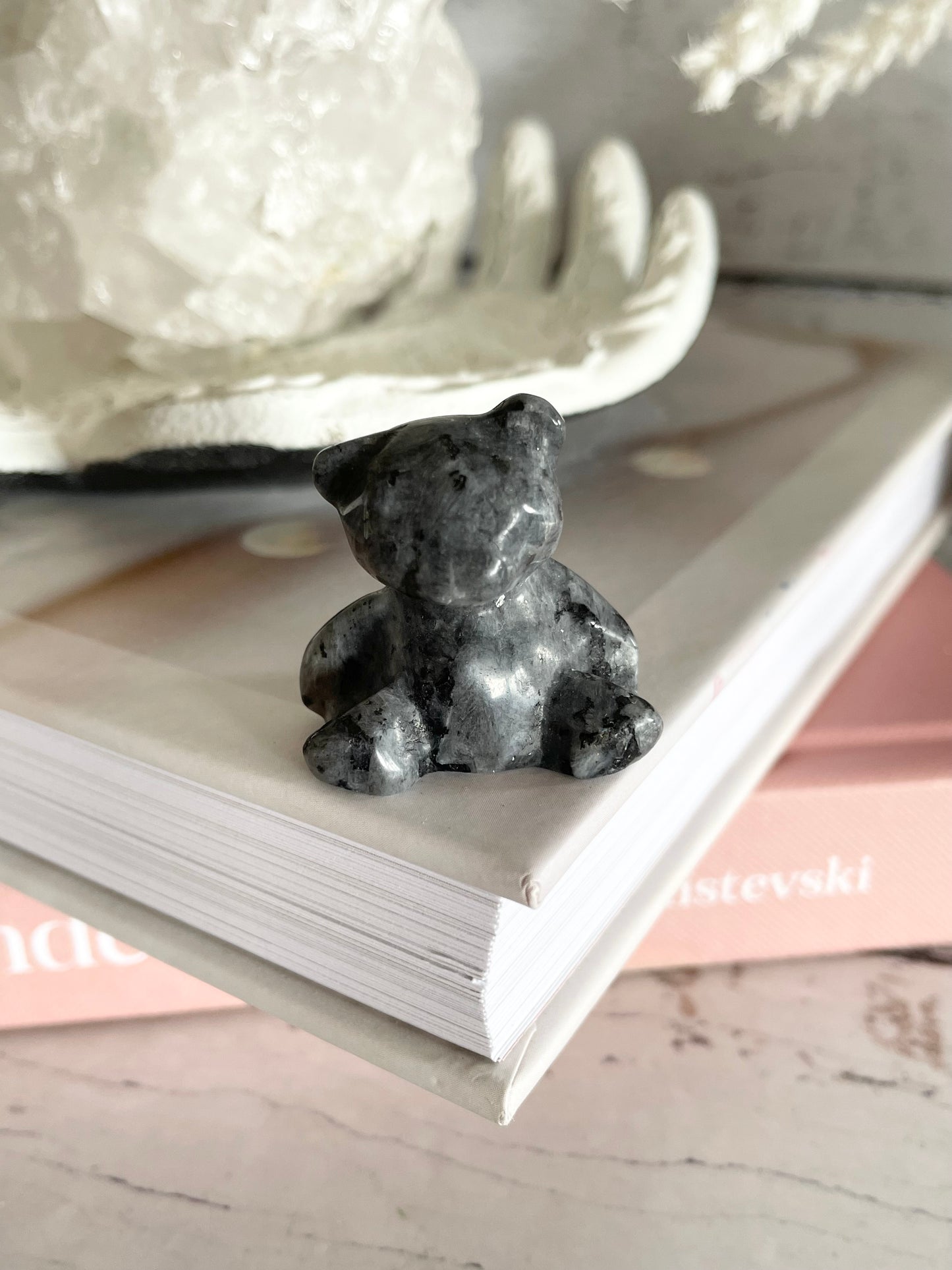 Teddy Bear ~ Larvakite