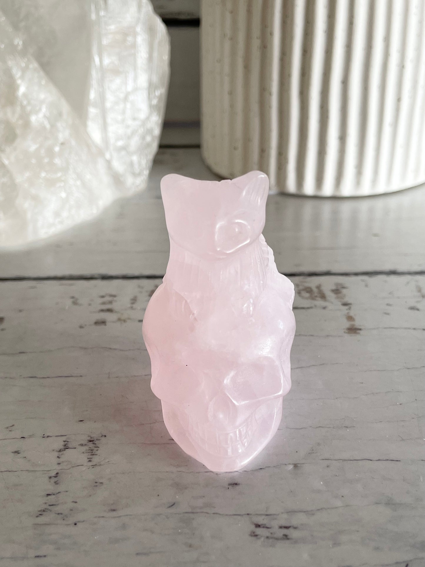 Rose Quartz Cat on Skull