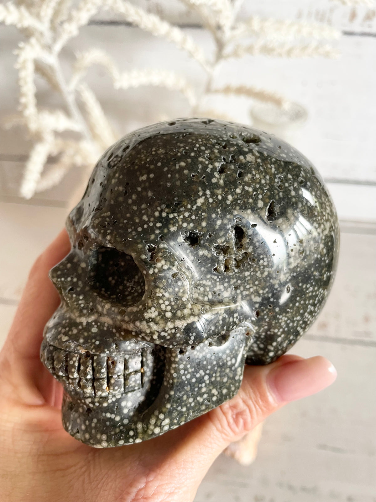 Ocean Jasper Skull