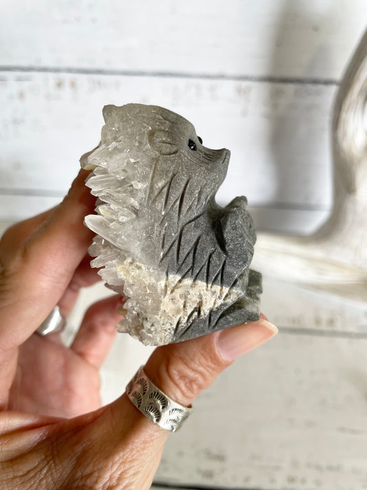 Quartz ~ Hedgehog 1