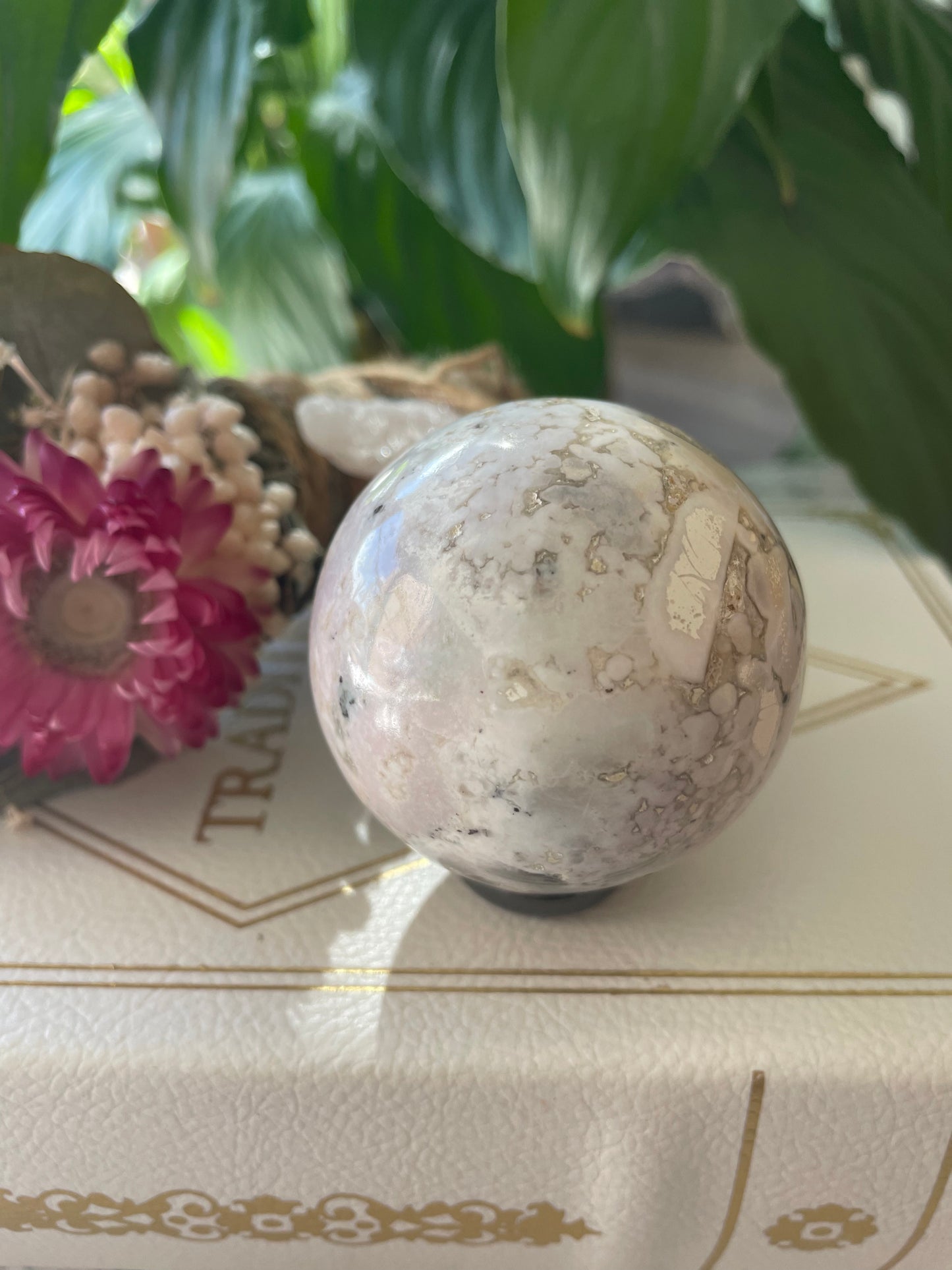 Spotted Agate Sphere Includes Wooden Holder