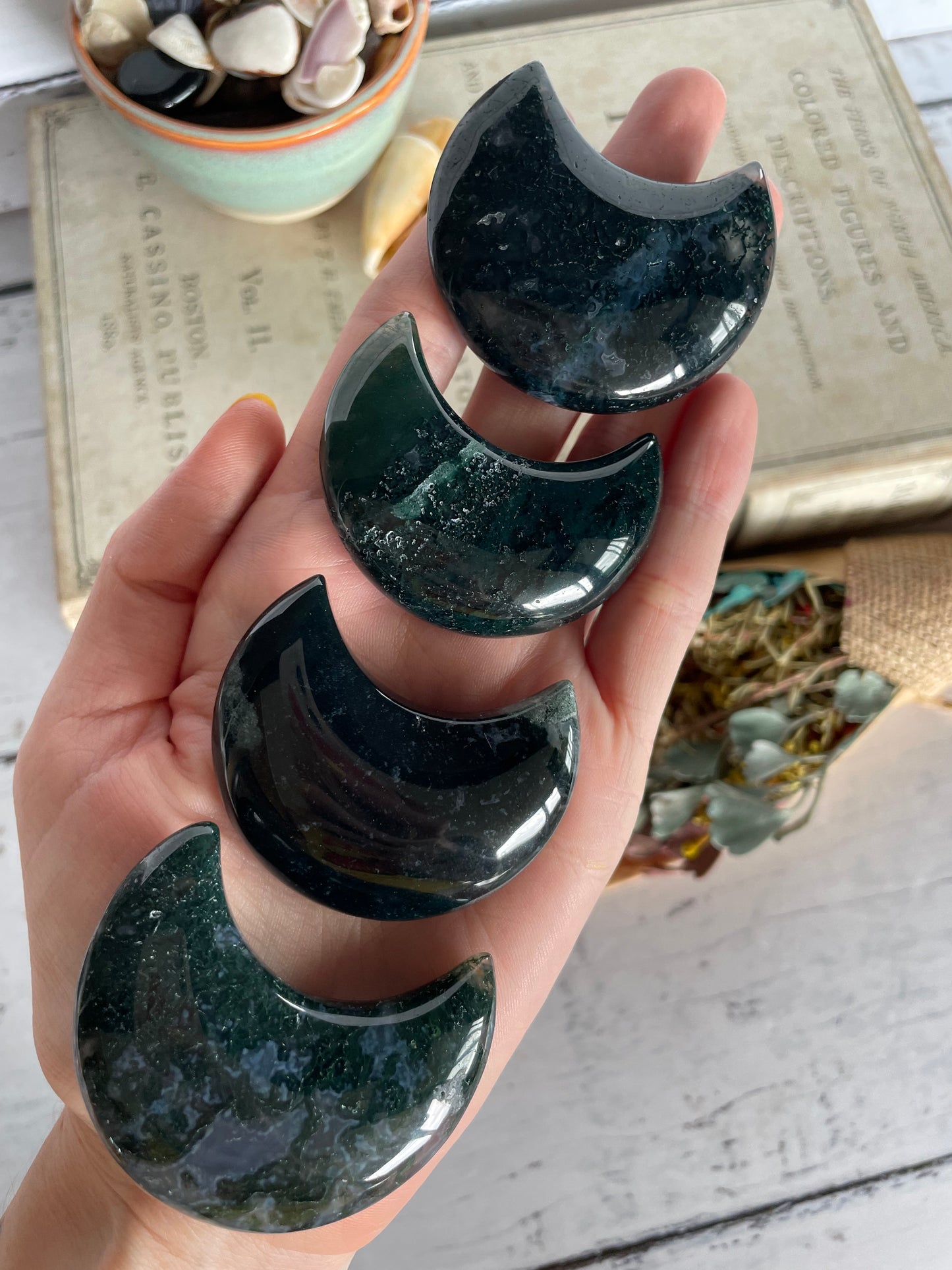 INTUITIVELY CHOSEN ~ Crescent Moon Moss Agate