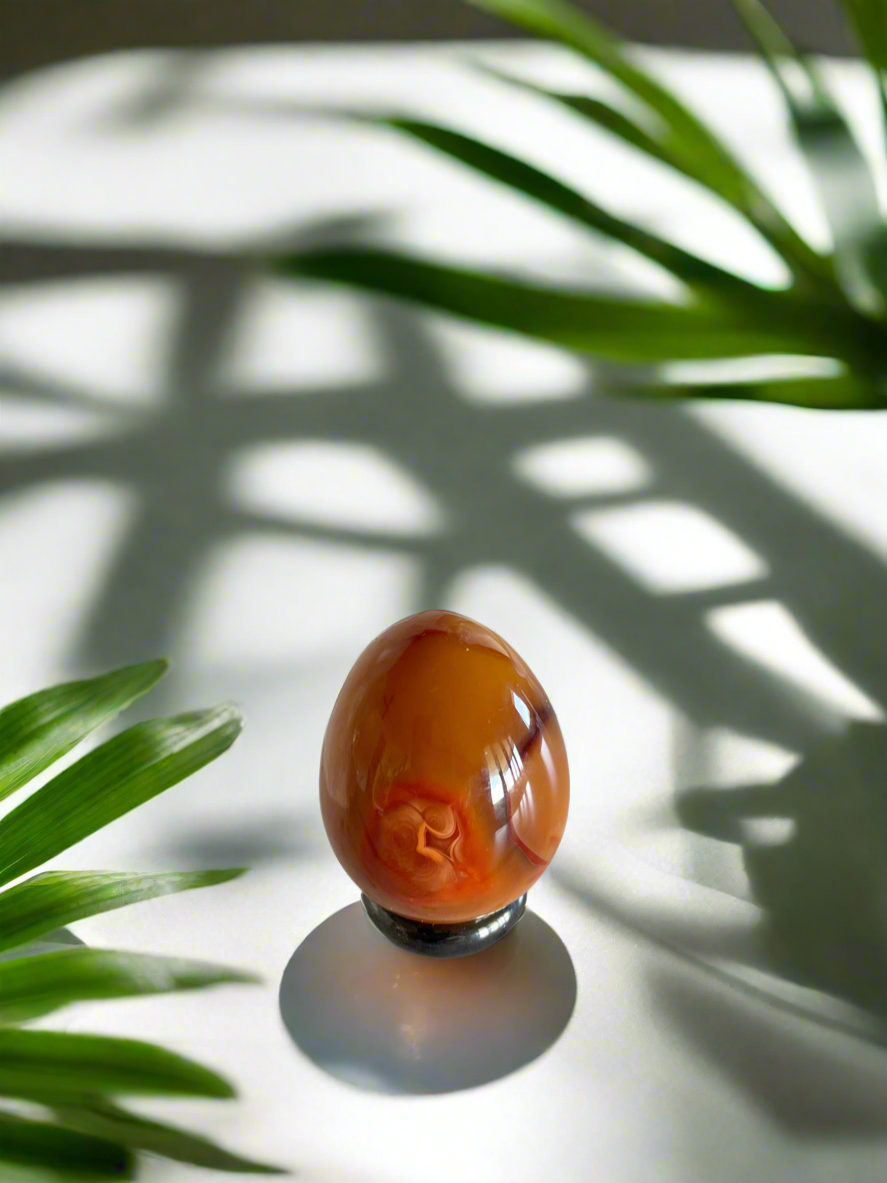 Carnelian Egg with holder