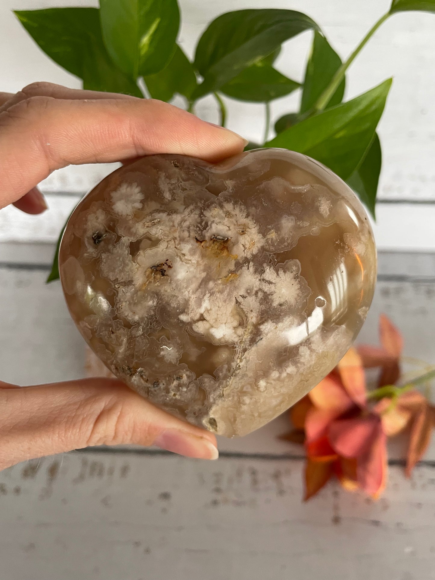 Flower Agate Heart