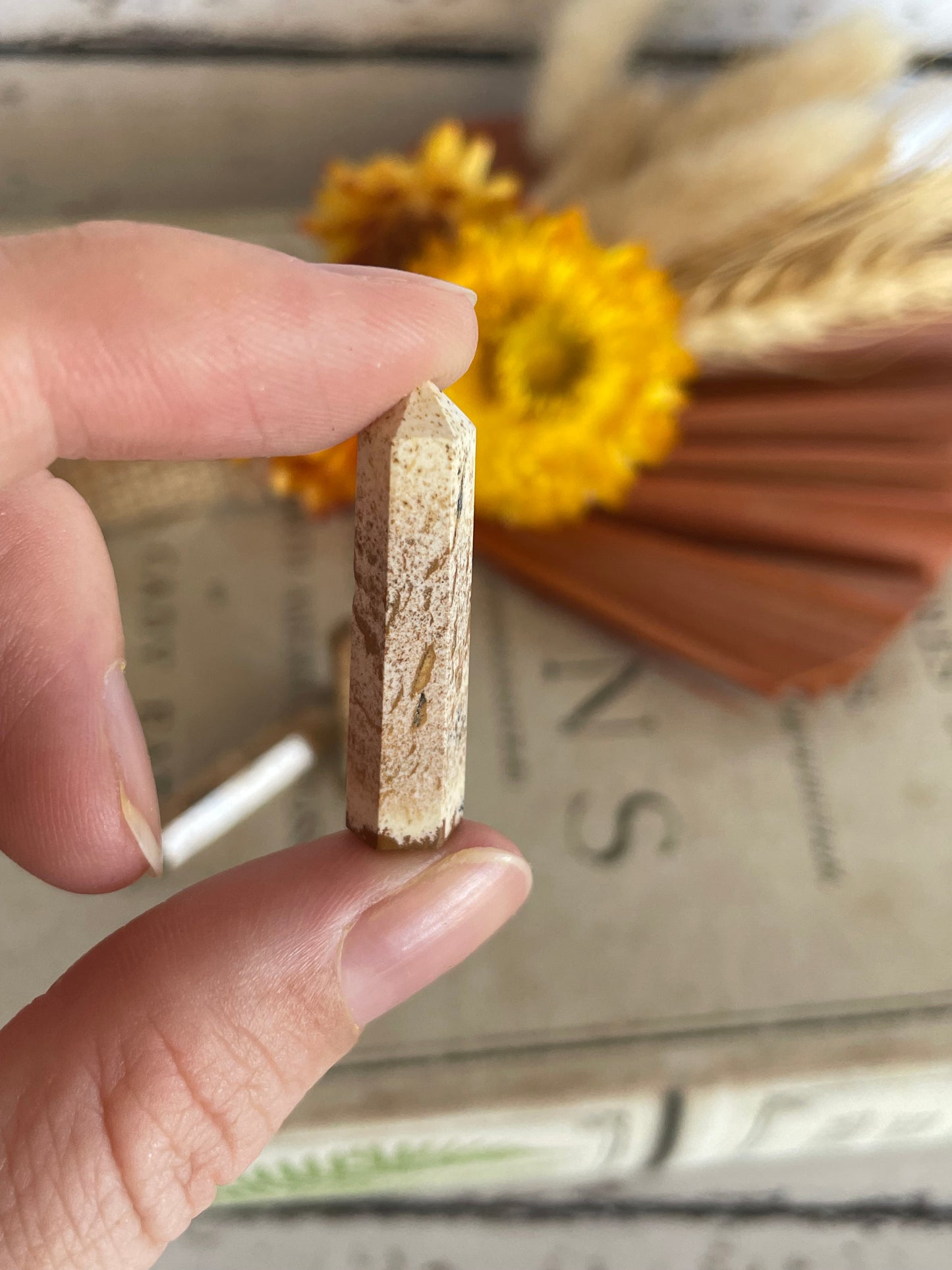 Intuitively Chosen ~ Picture Jasper Mini Generator