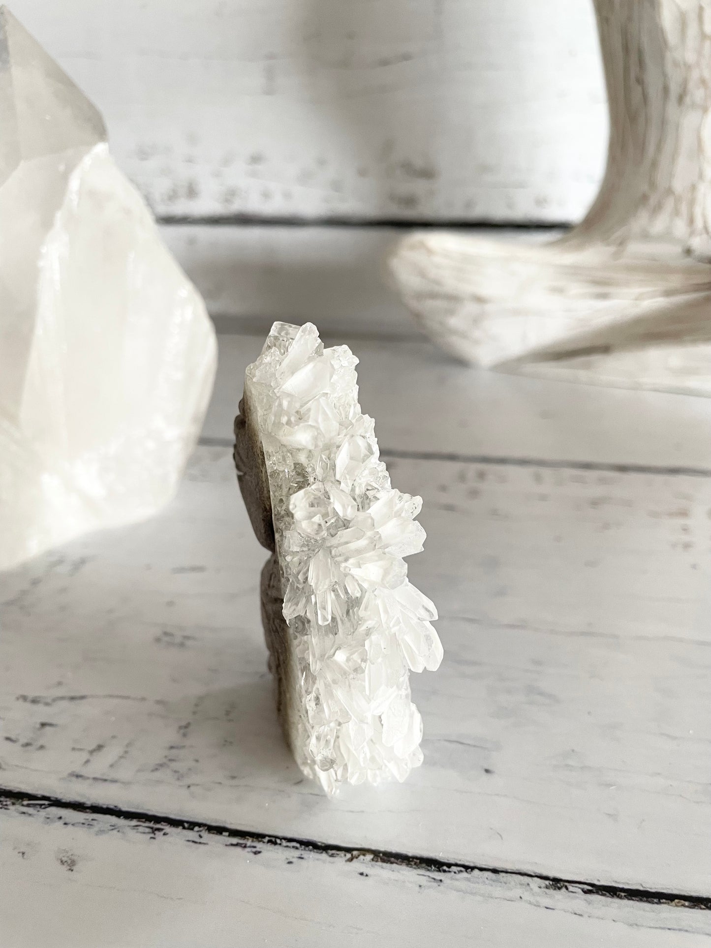 Quartz Sea Horse ~ 13