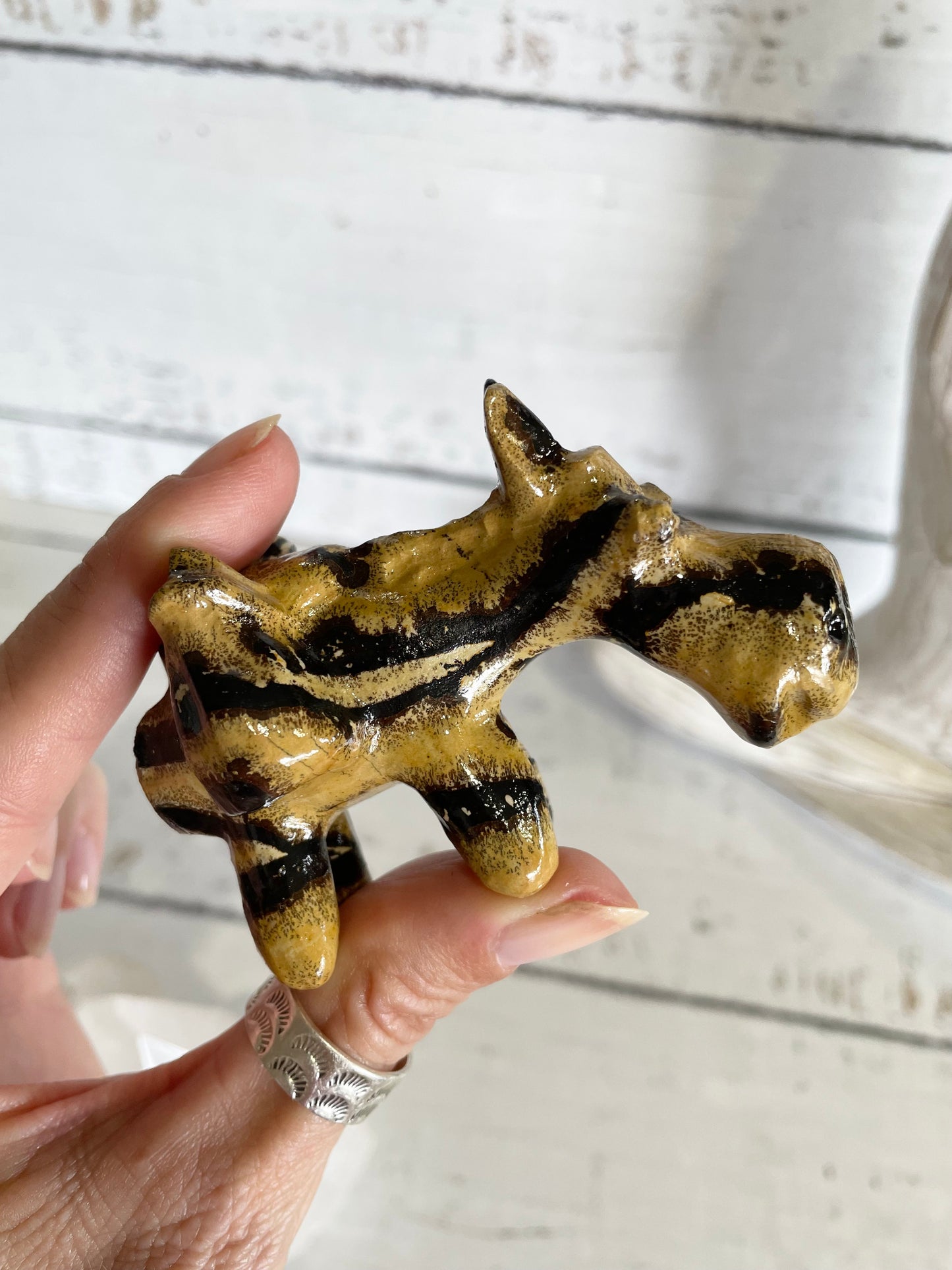 Picture Jasper Donkey ~ 1