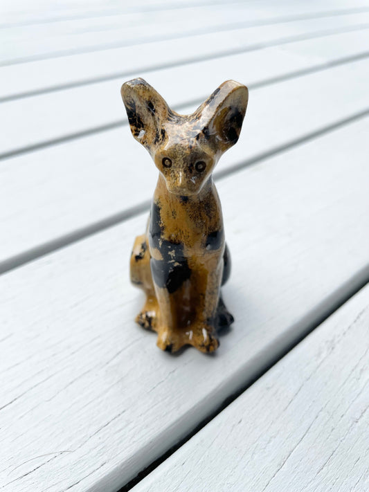 Picture Jasper Cat