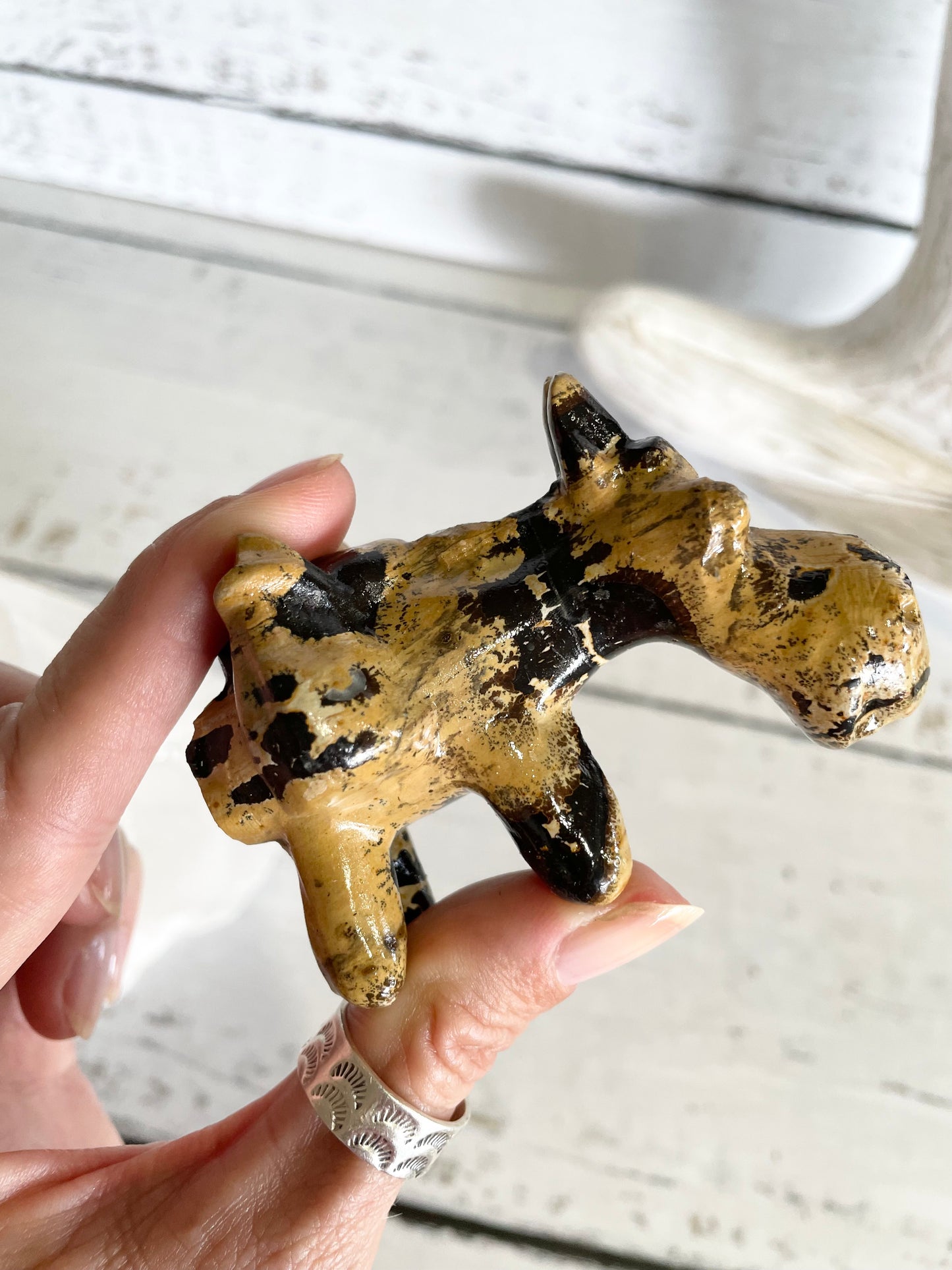 Picture Jasper Donkey ~ 4