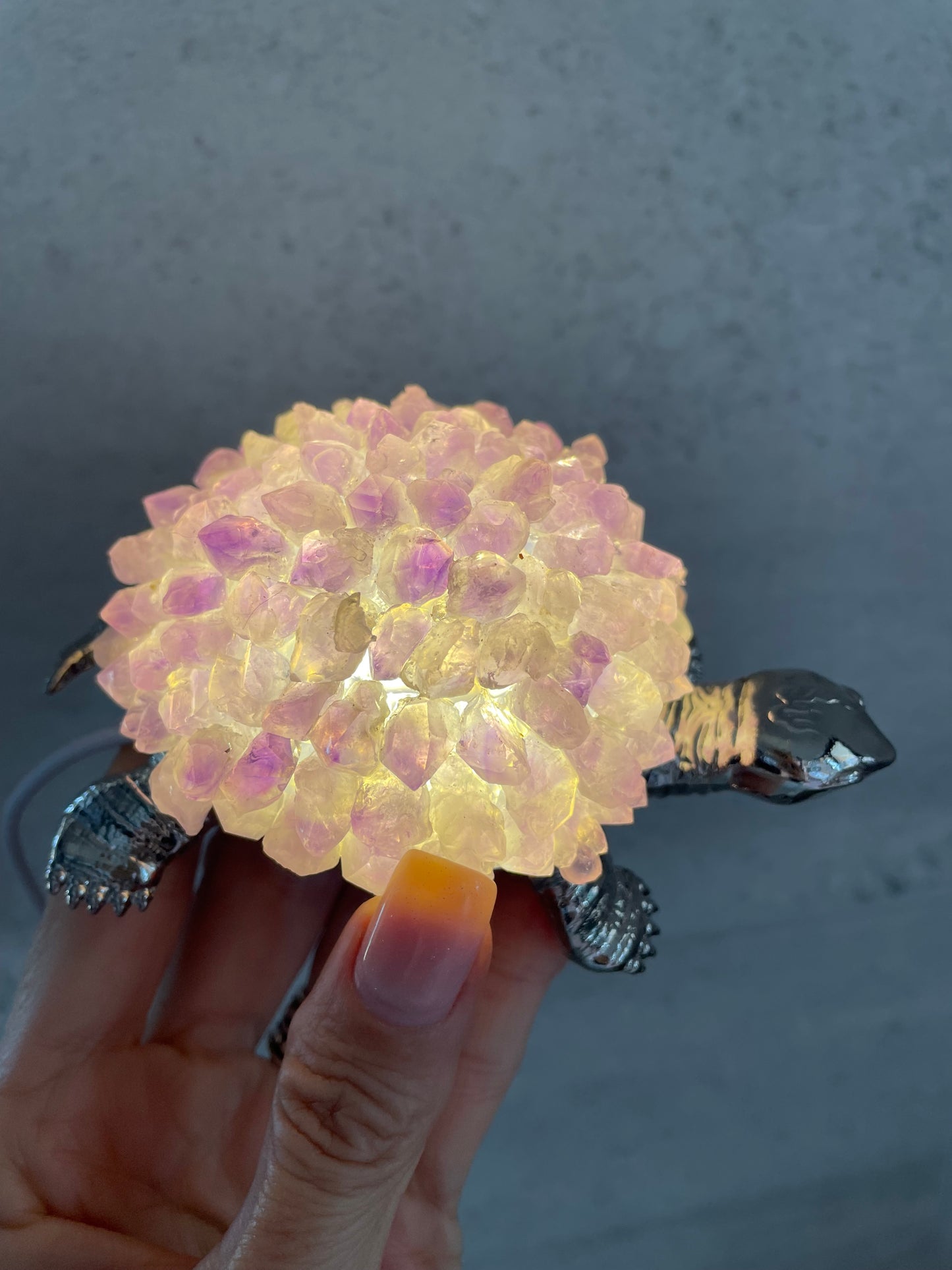 Tortoise Led Lamp ~ Raw Amethyst