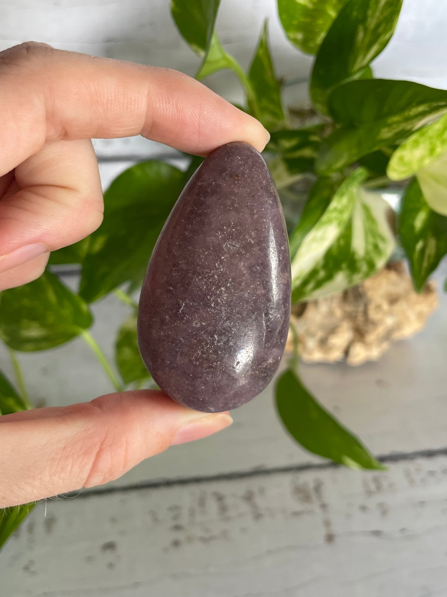 Lepidolite Freeform