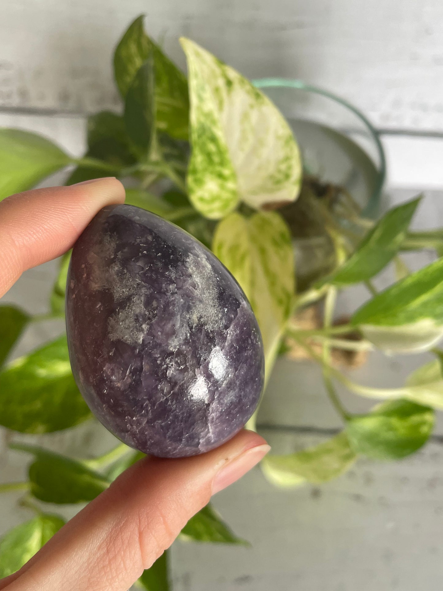 Lepidolite Egg Includes Hematite Ring