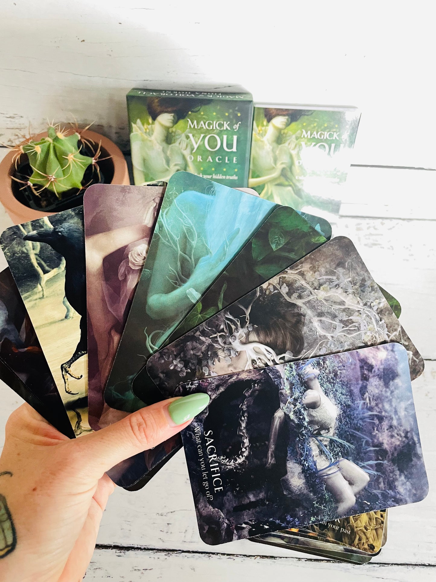 Magick of You Oracle