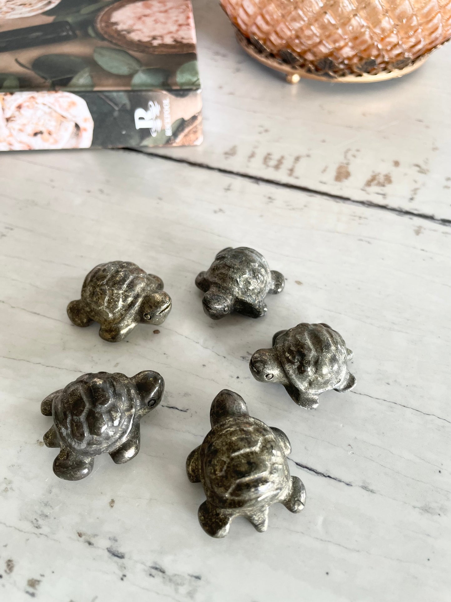 INTUITIVELY CHOSEN~ Pyrite Turtle