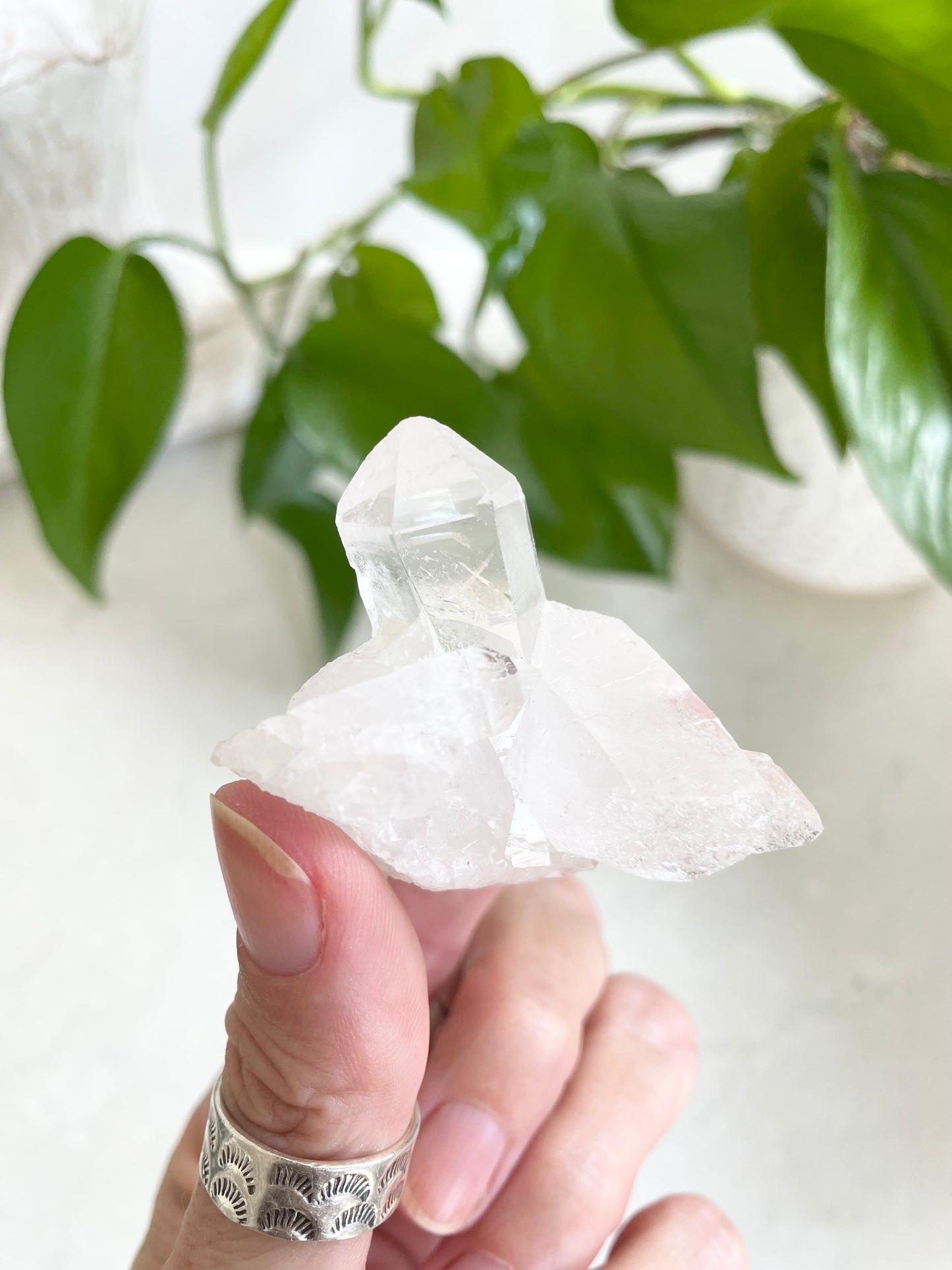 Clear Quartz Cluster