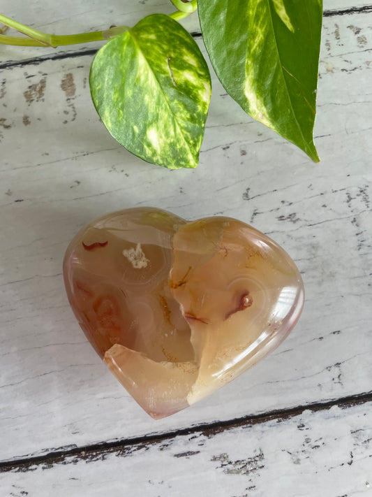 Flower Agate Heart