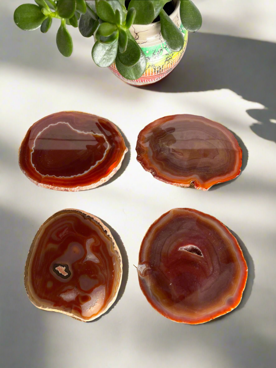 Agate Slice Coasters ~ Orange