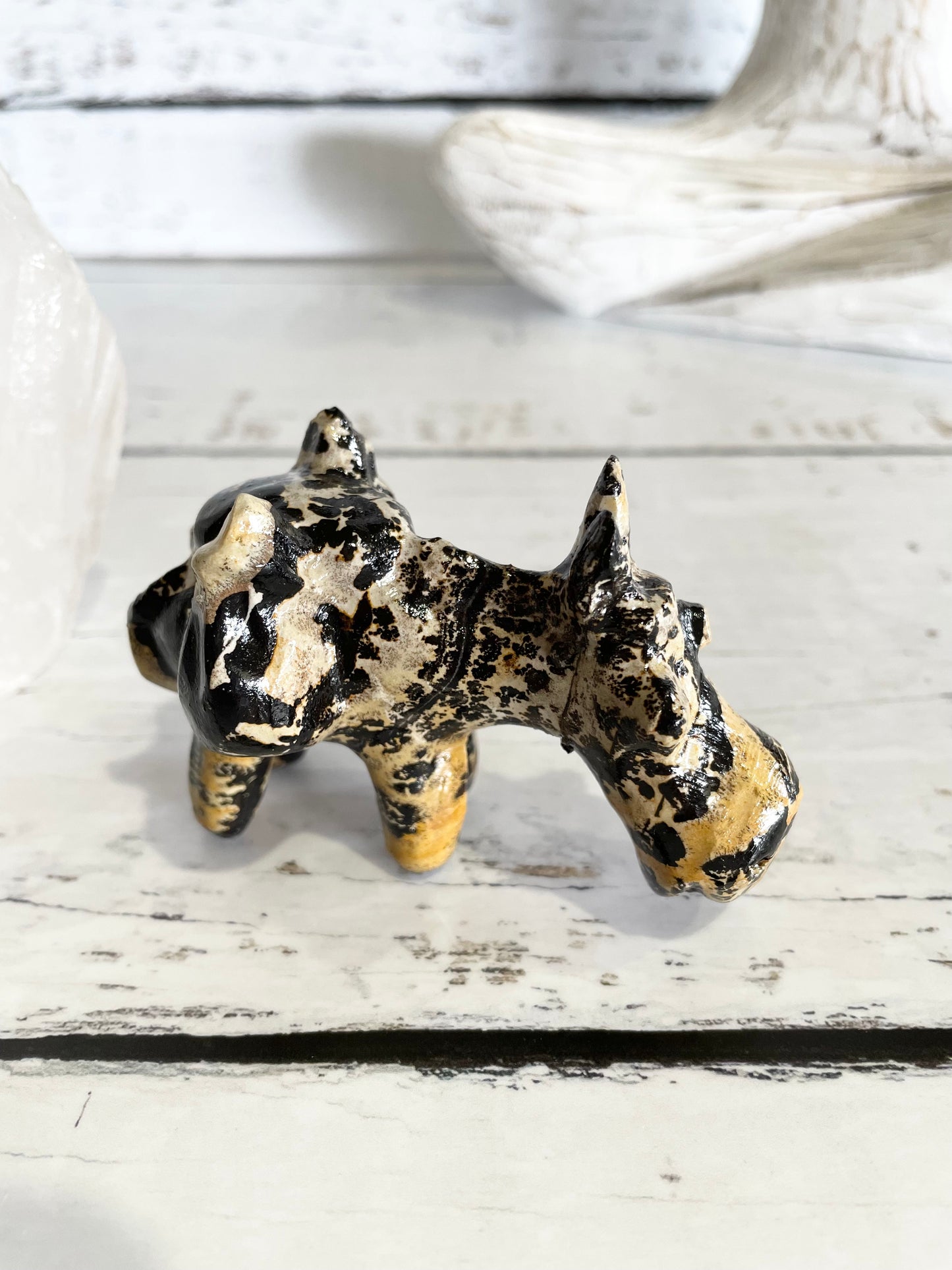 Picture Jasper Donkey ~ 2