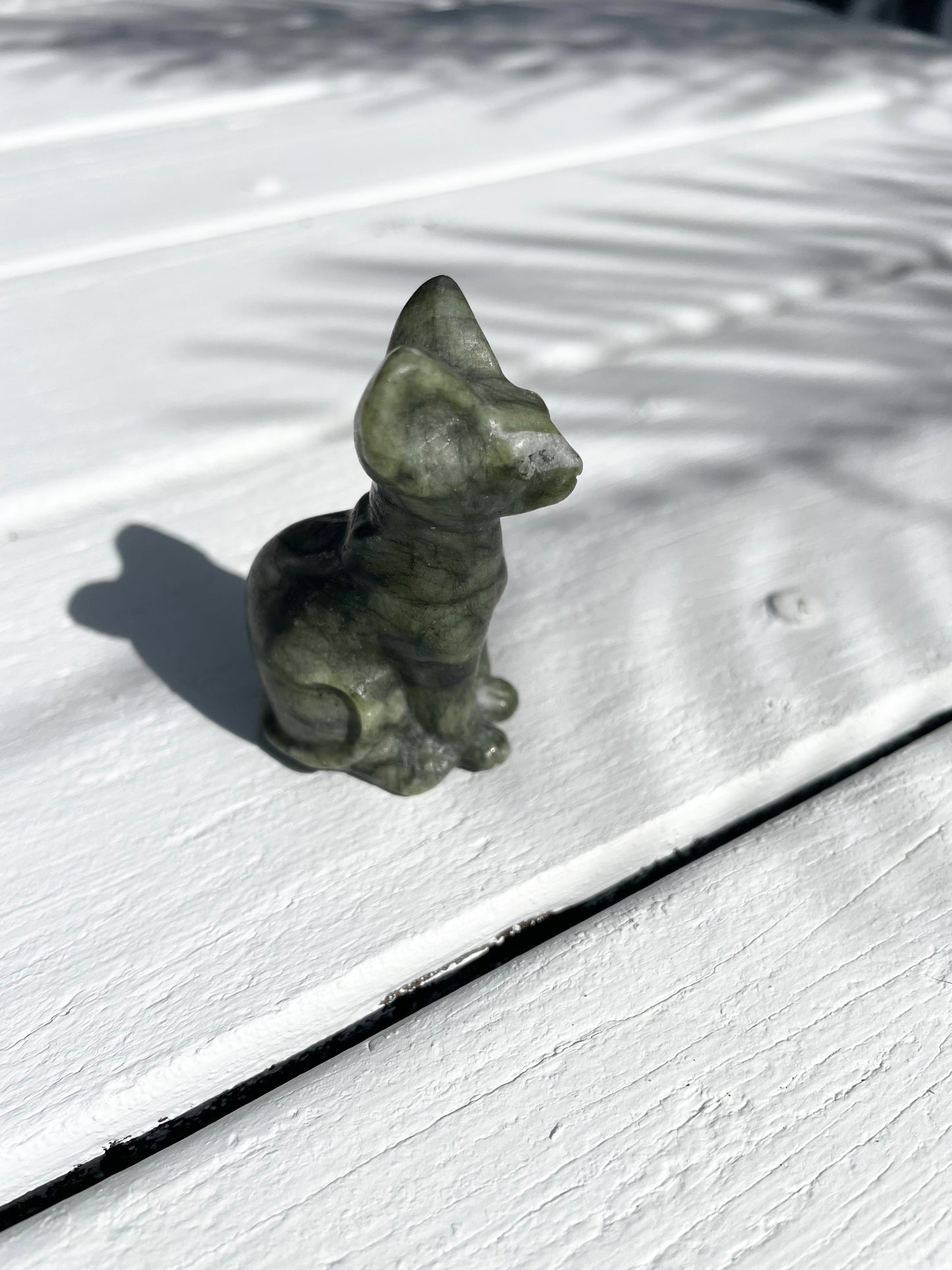 Jade Cat