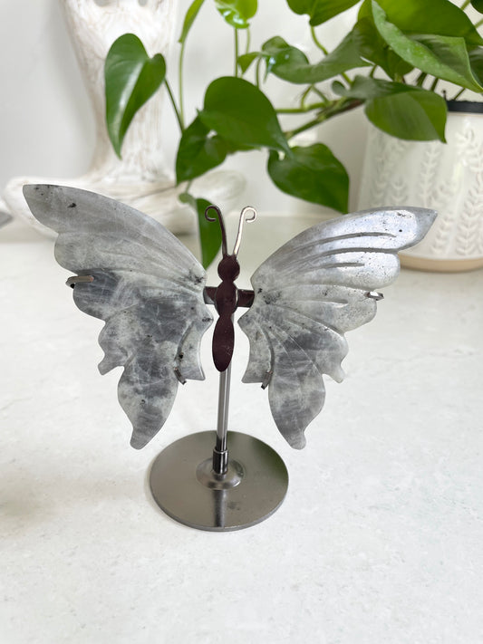 Butterfly ~ Labradorite