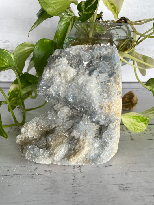 Celestite Cluster
