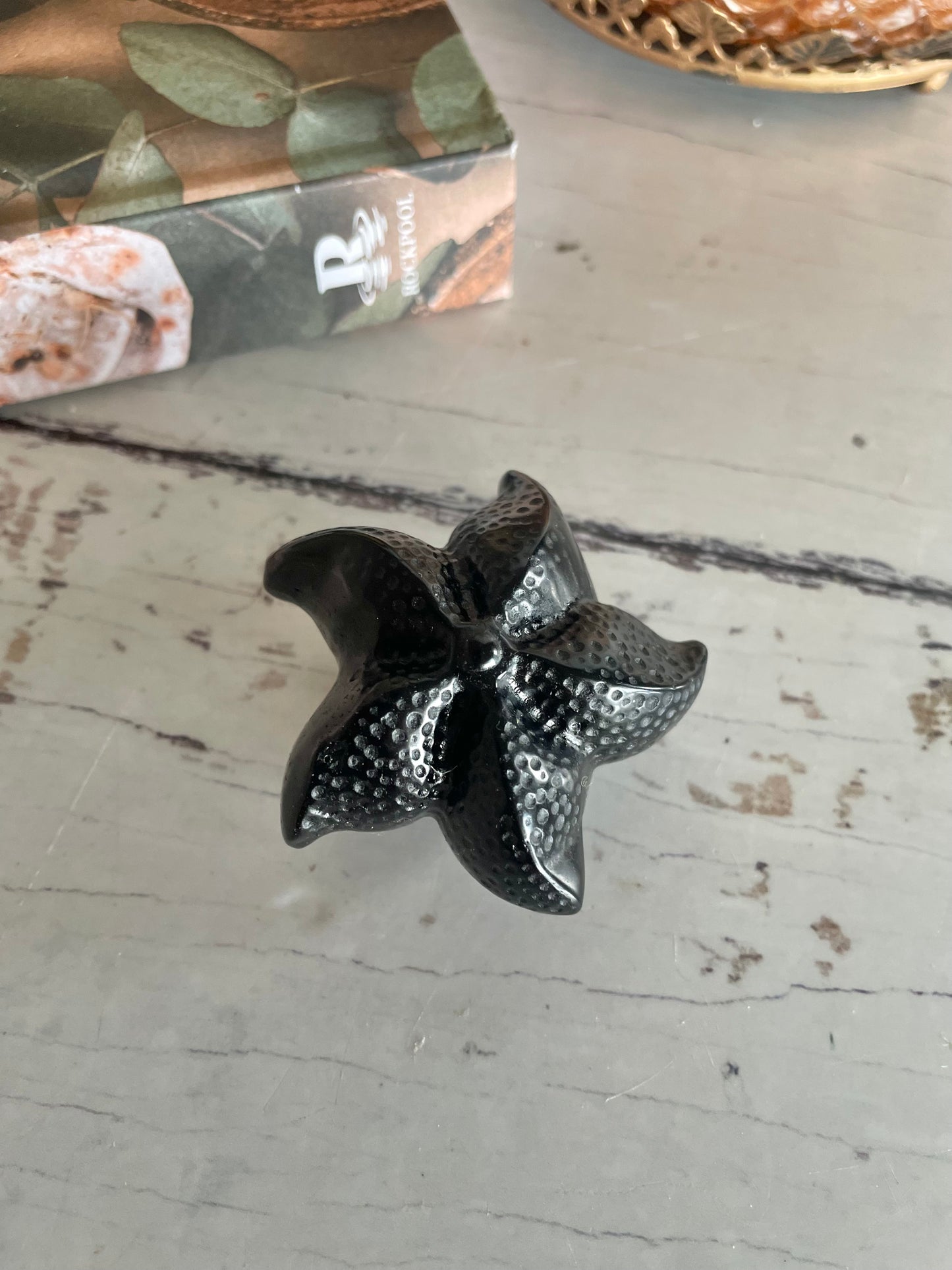 Sea Star ~ Black Obsidian