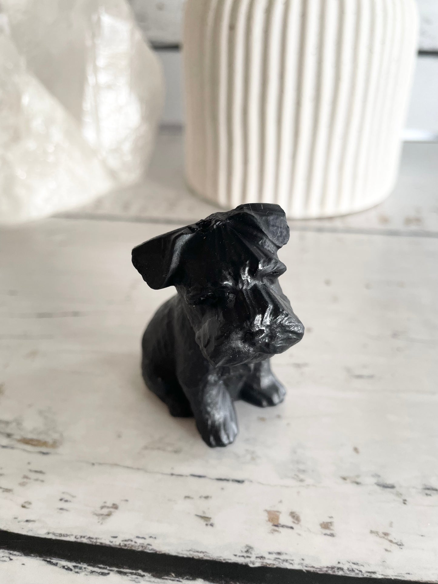 Black Obsidian Dog ~ Schnauzer (cutest face award)