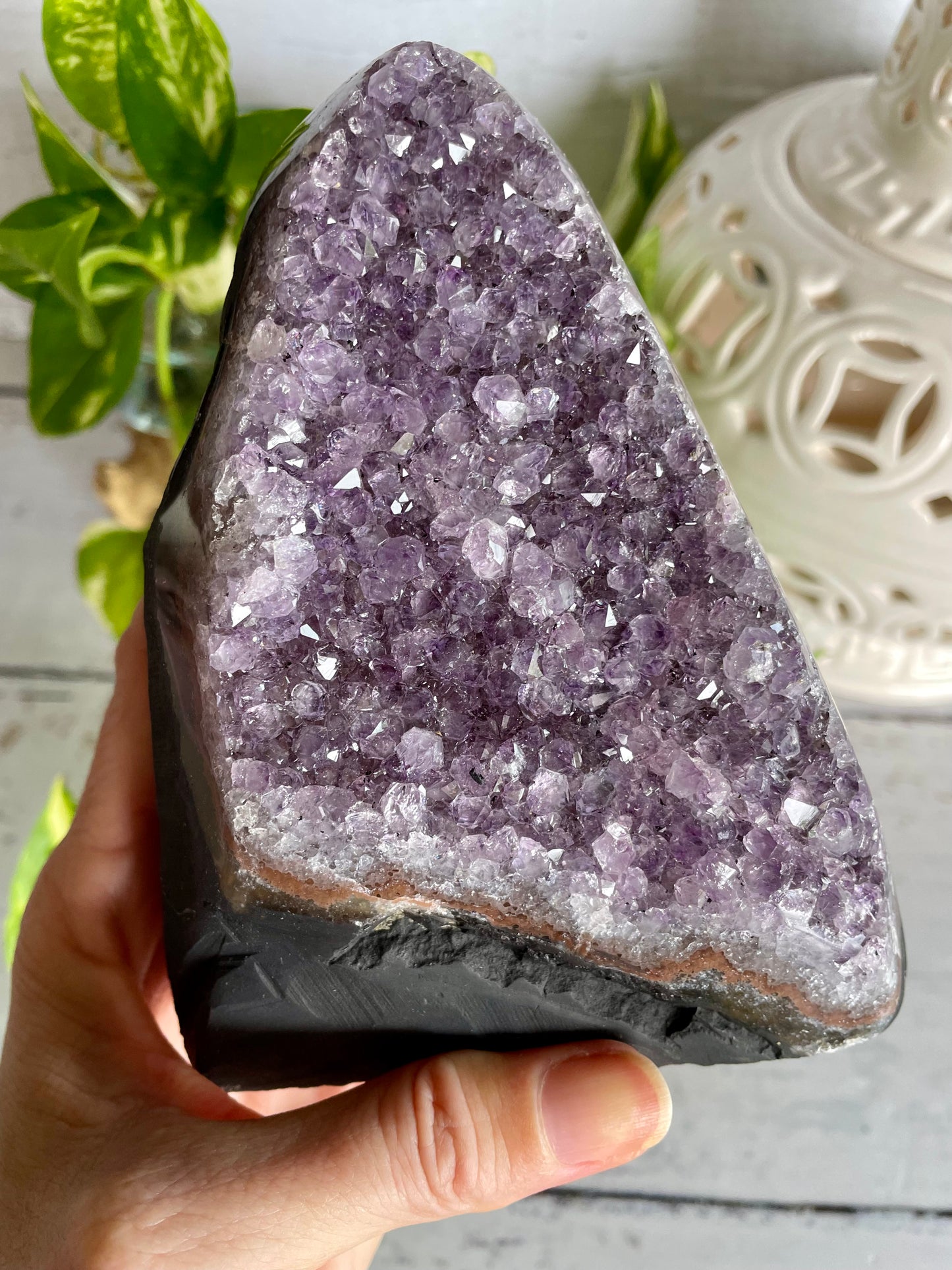 Amethyst Cluster