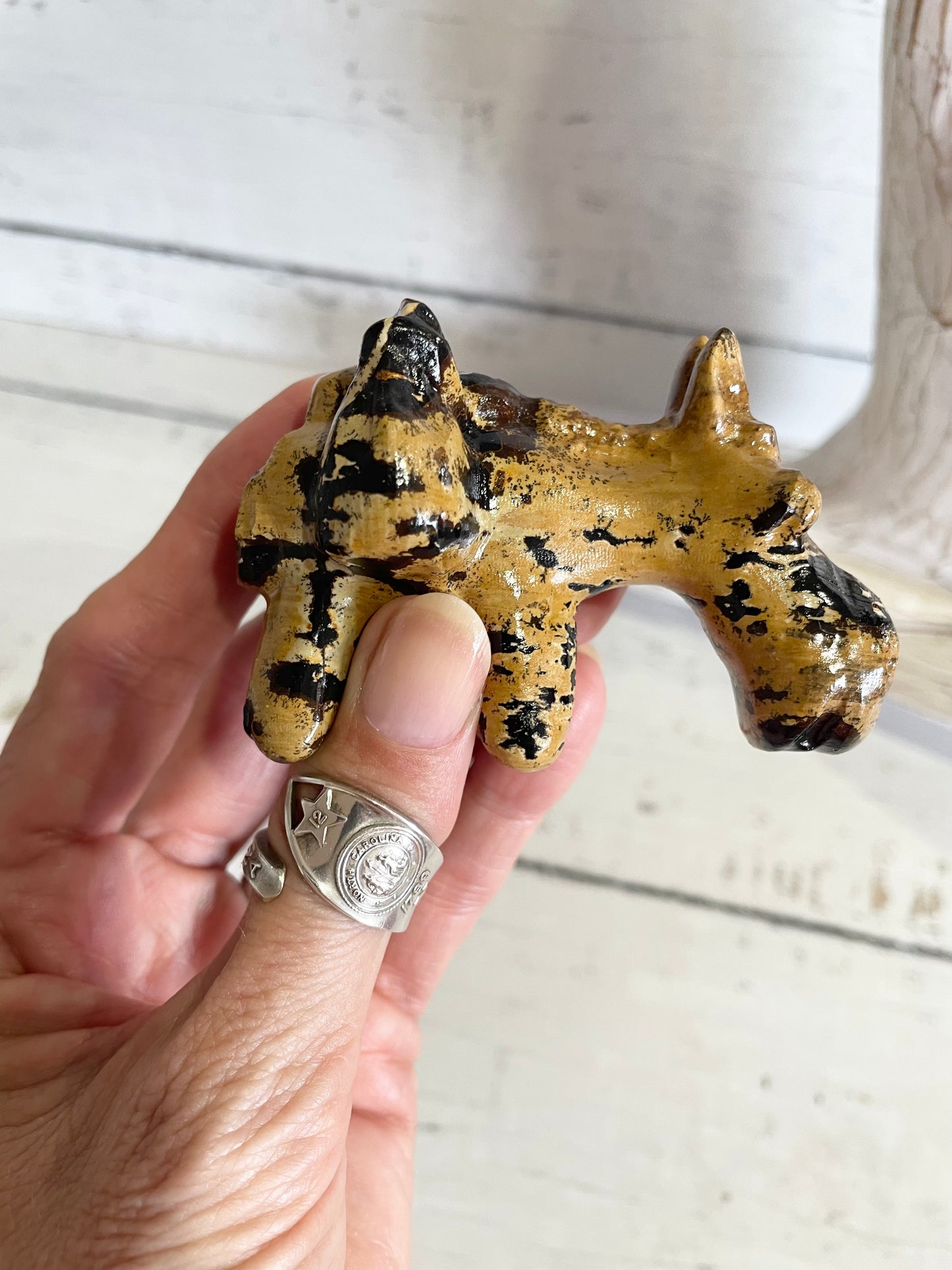 Picture Jasper Donkey ~ 14