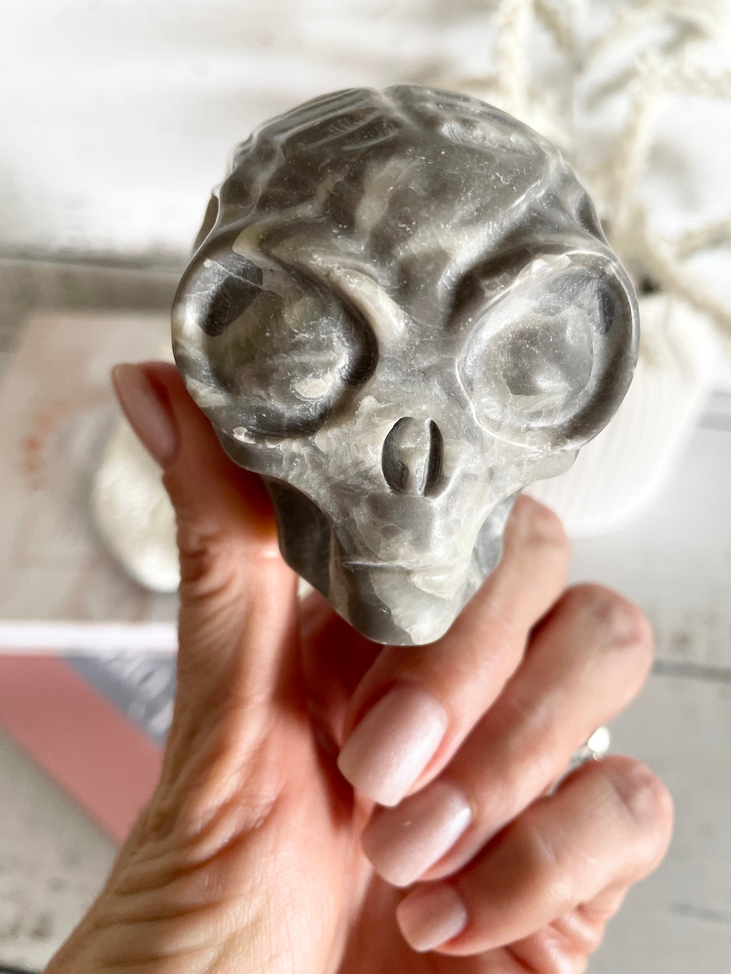 Jasper Alien Skull