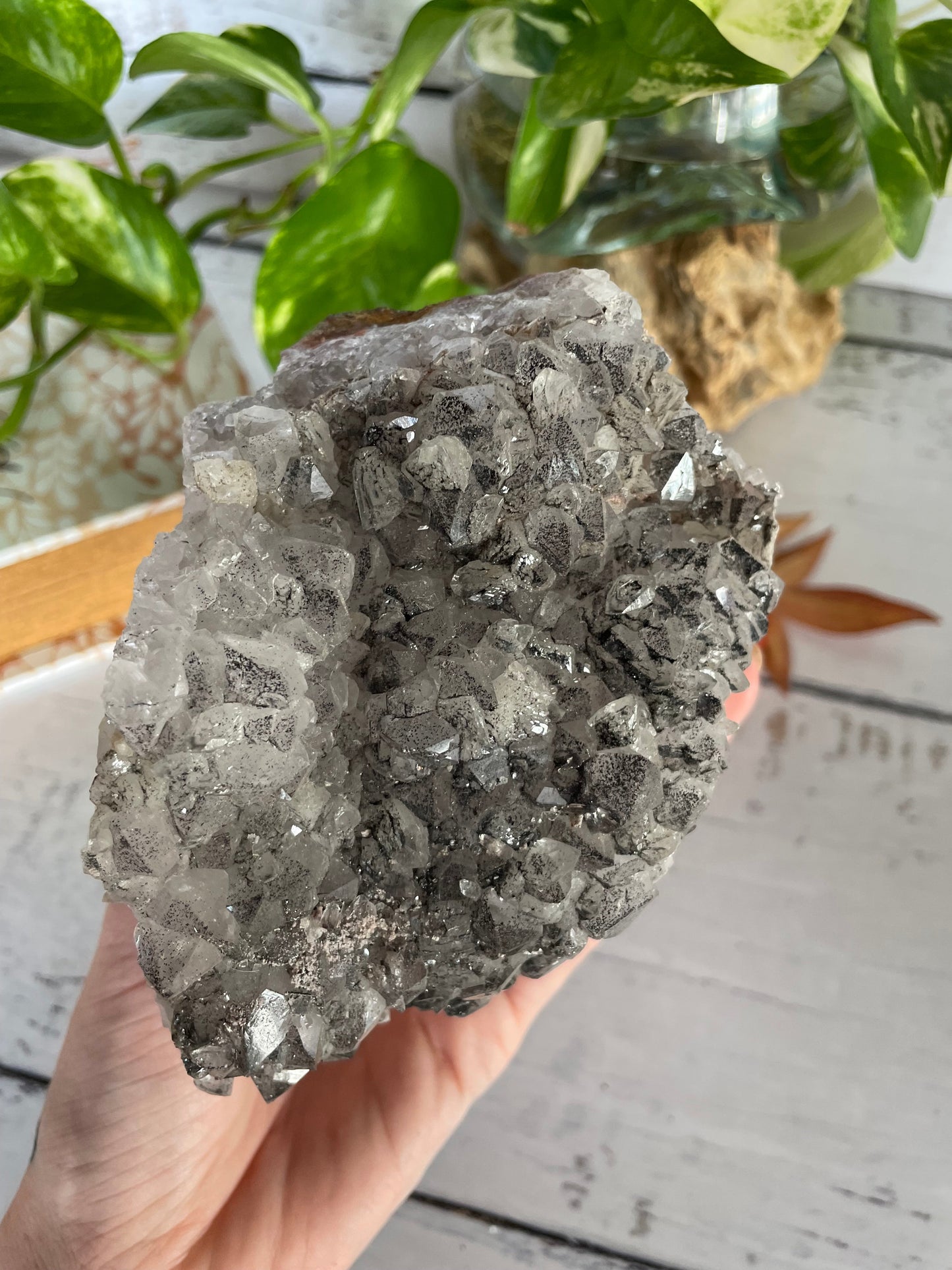 Black Amethyst Cluster