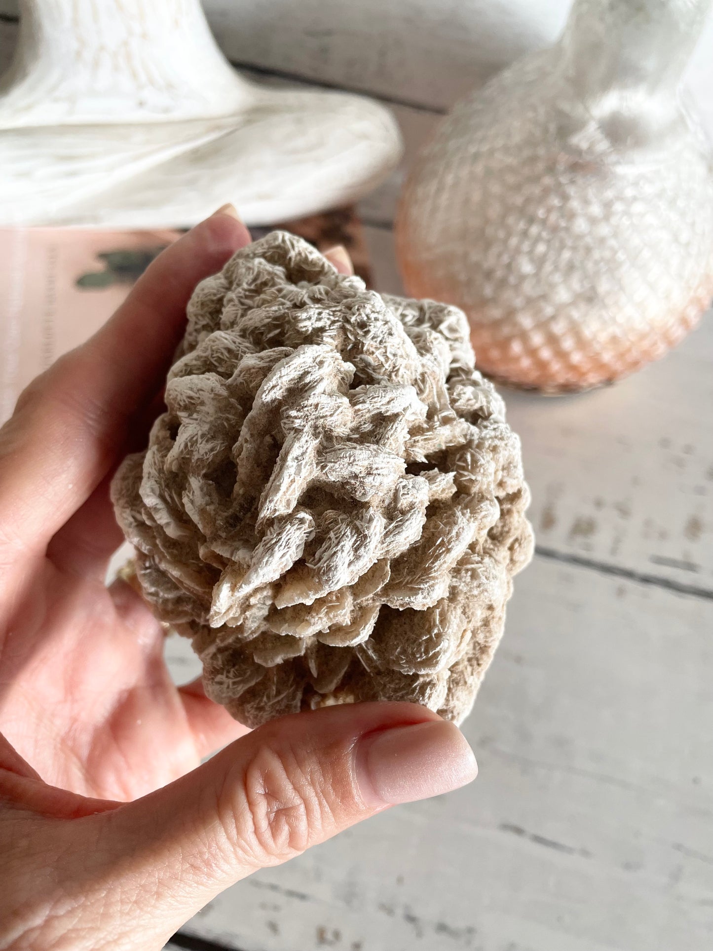 Desert Rose
