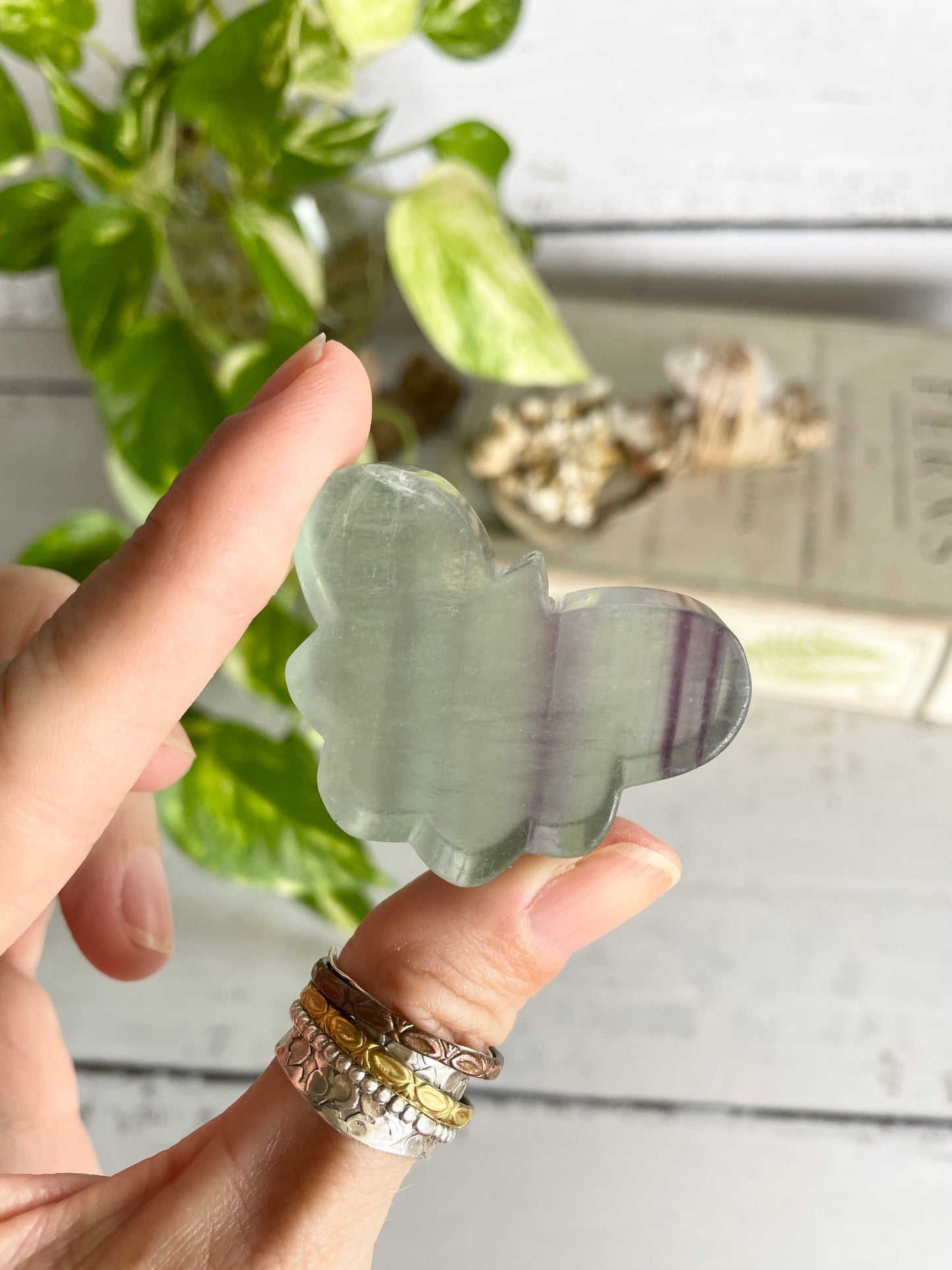 Butterfly ~ Rainbow Fluorite