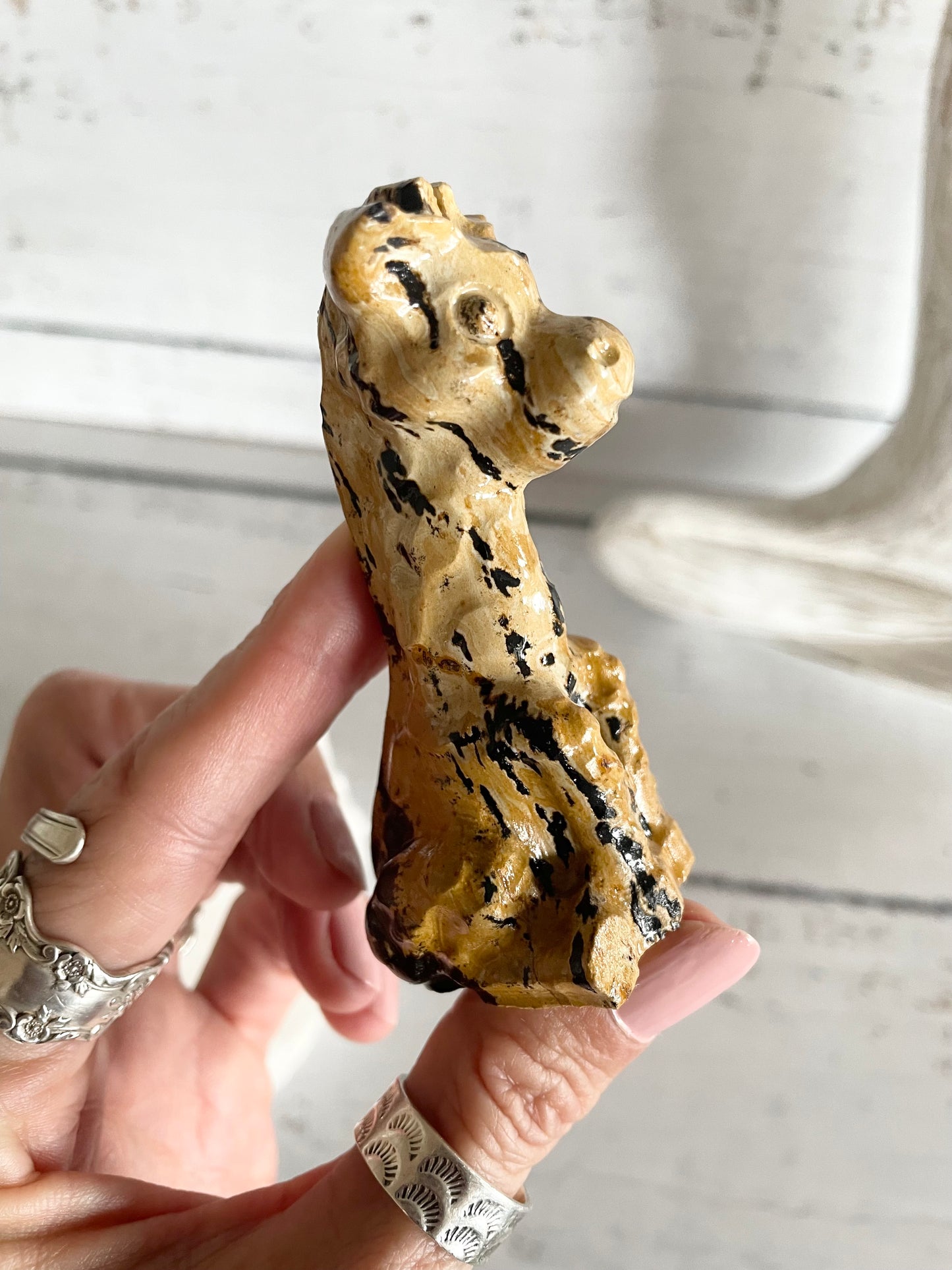 Picture Jasper Giraffe ~ 2