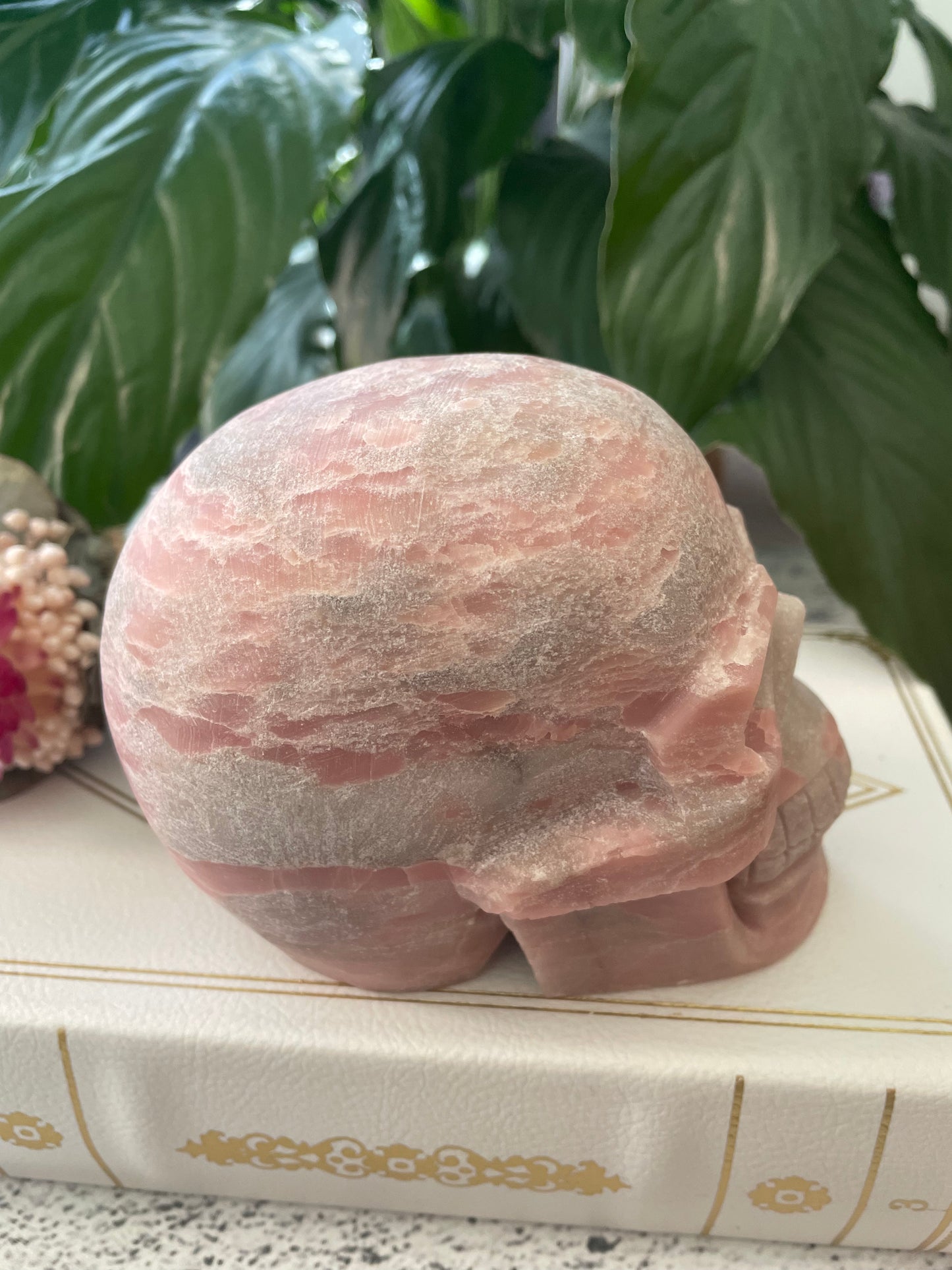 Pink Opal Skull ~ 1.2kgs