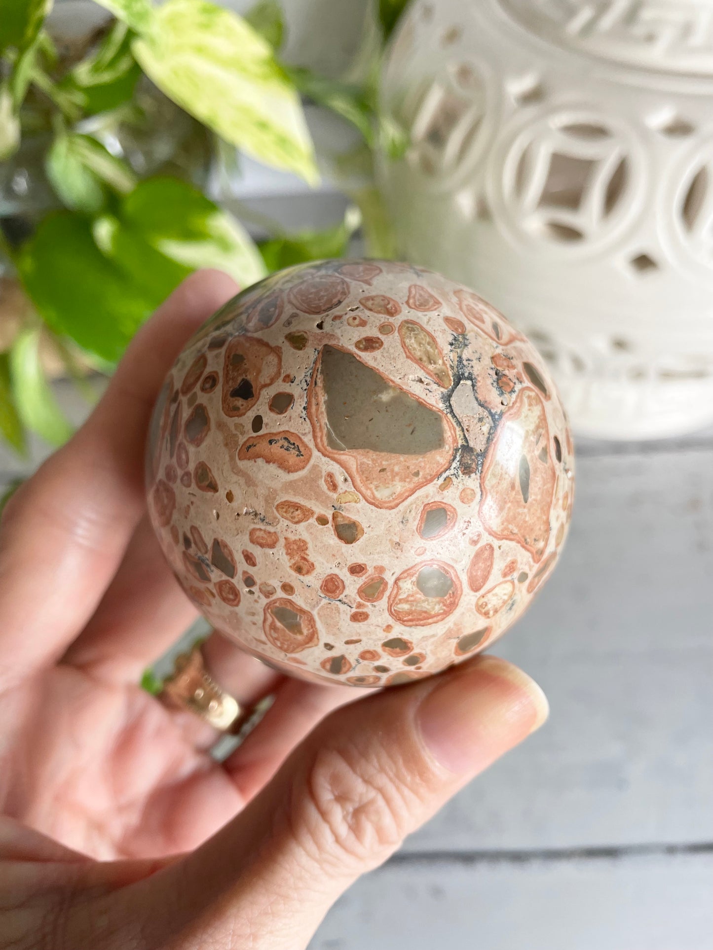 Leopard Skin Jasper Sphere Includes Wooden Holder