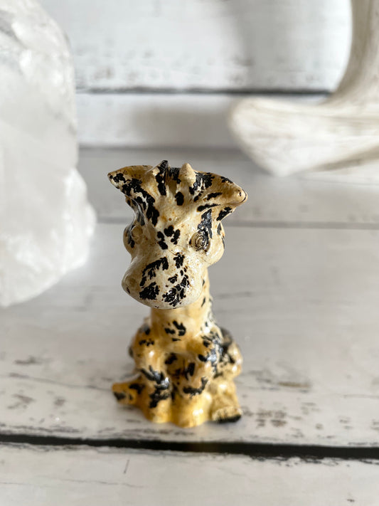 Picture Jasper Giraffe ~ 6