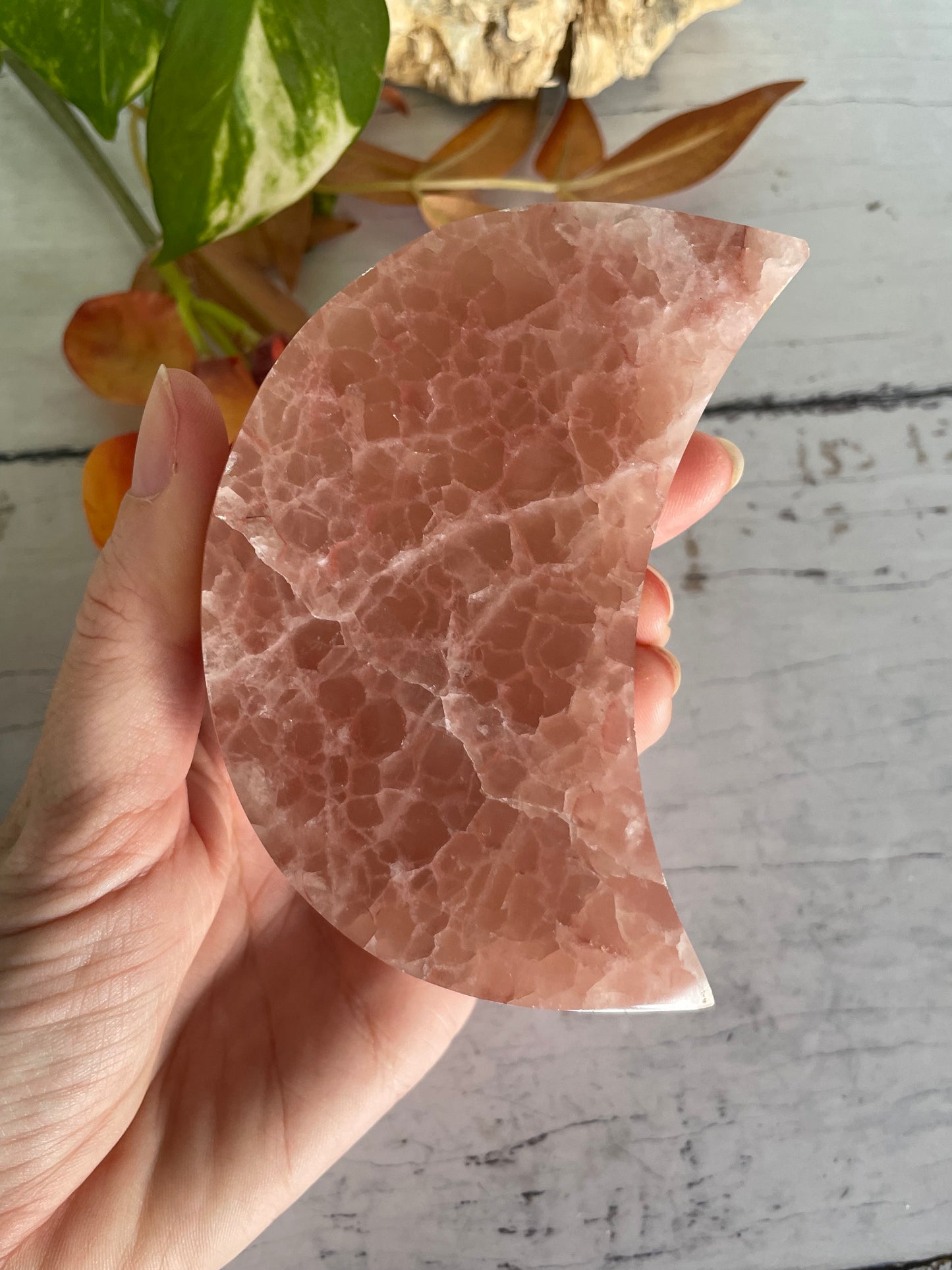 Crescent Moon ~ Rose Calcite