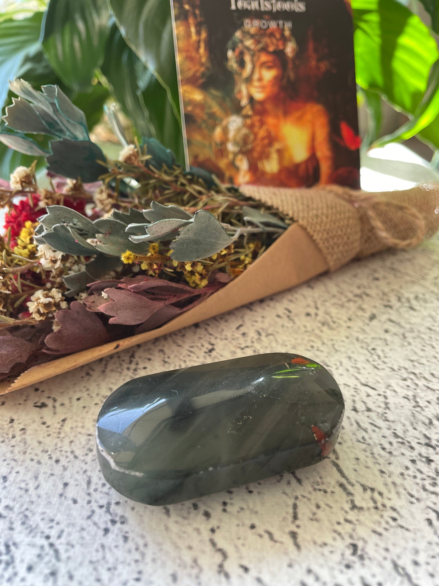 African Bloodstone Pillow Palm Stone