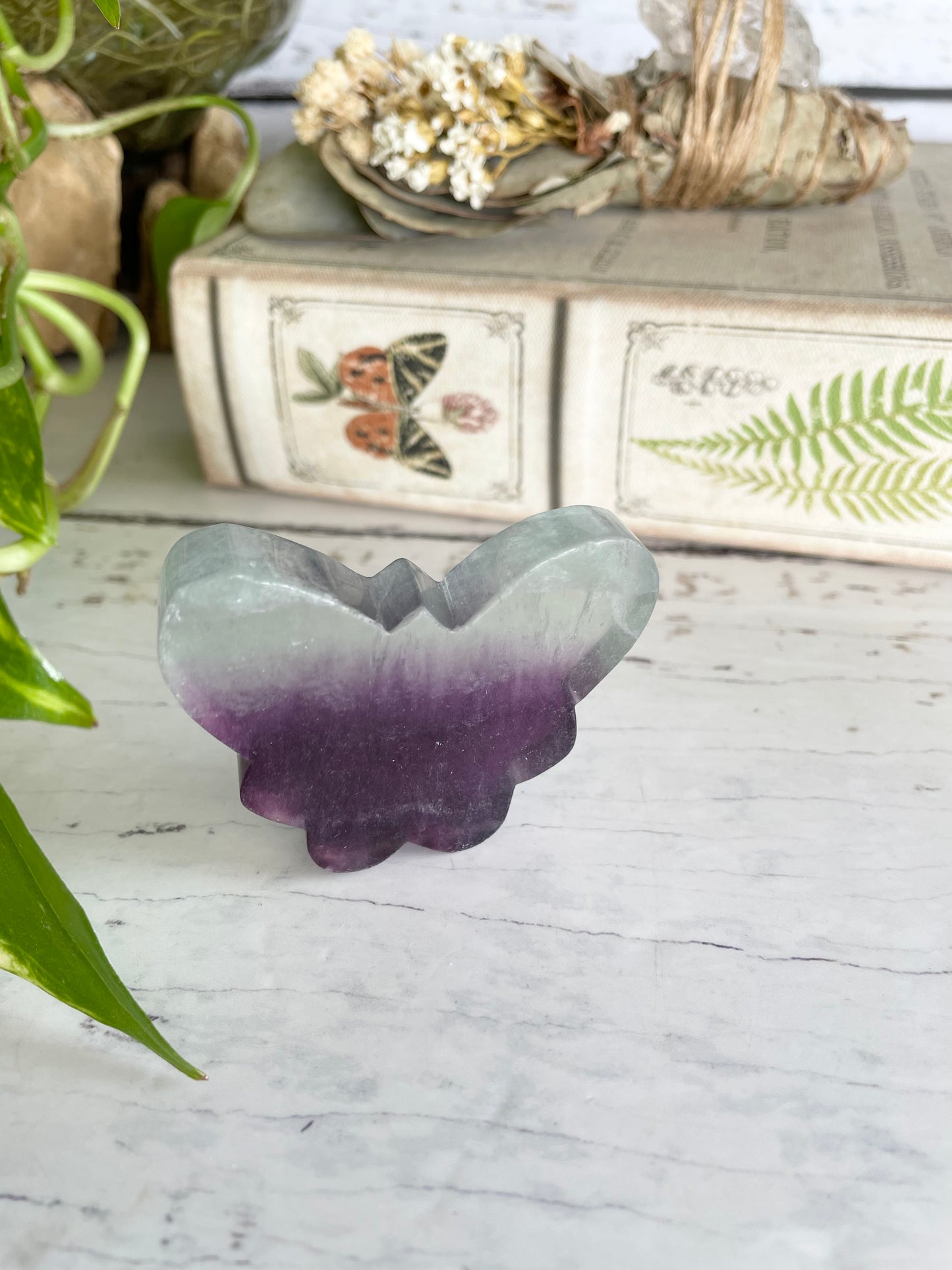 Butterfly ~ Rainbow Fluorite