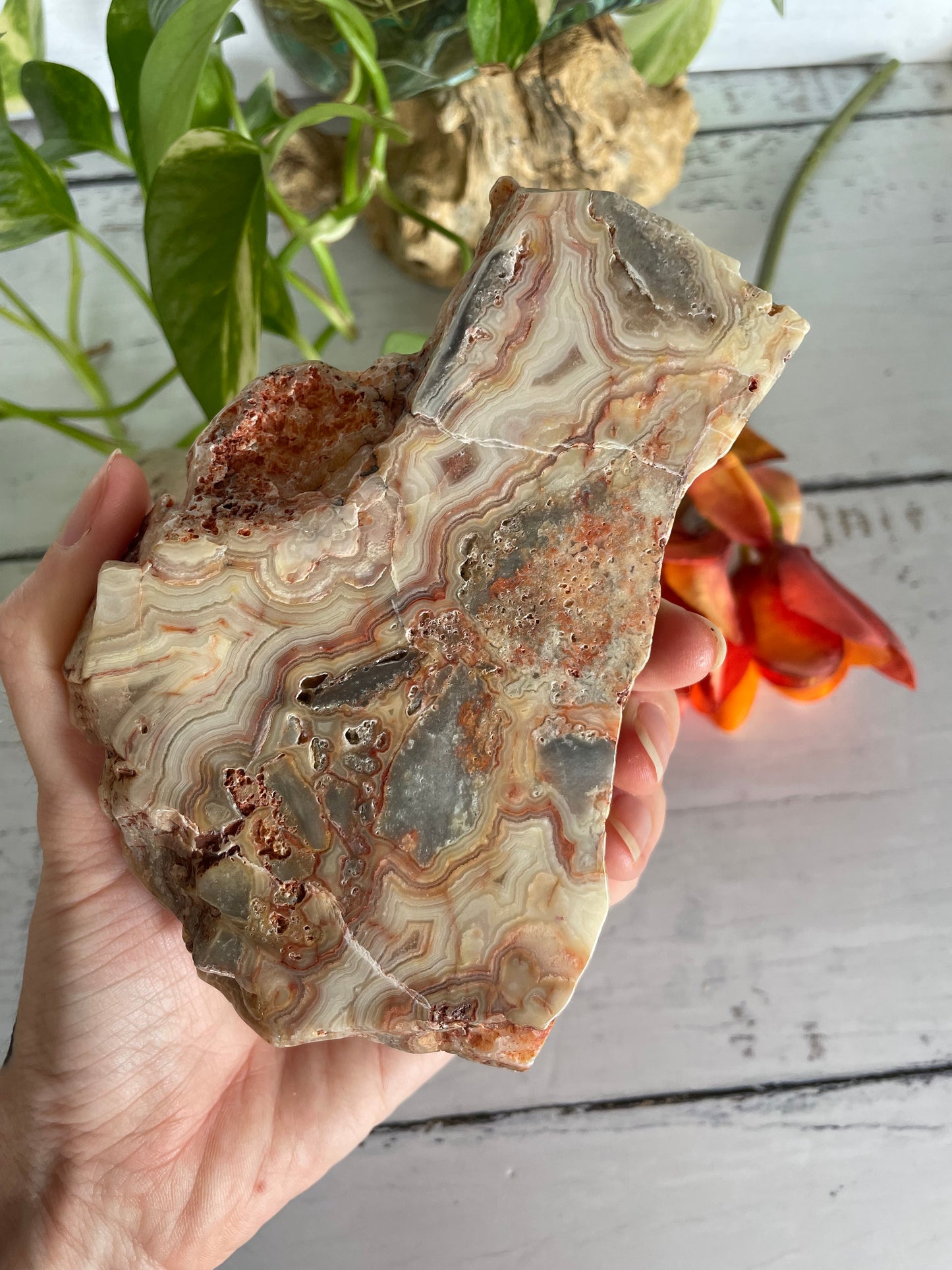 Crazy Lace Agate Polished Slab