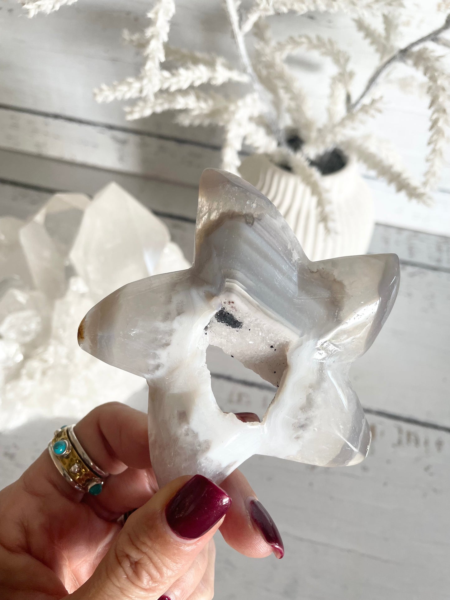 Natural Agate ~ Sea Star