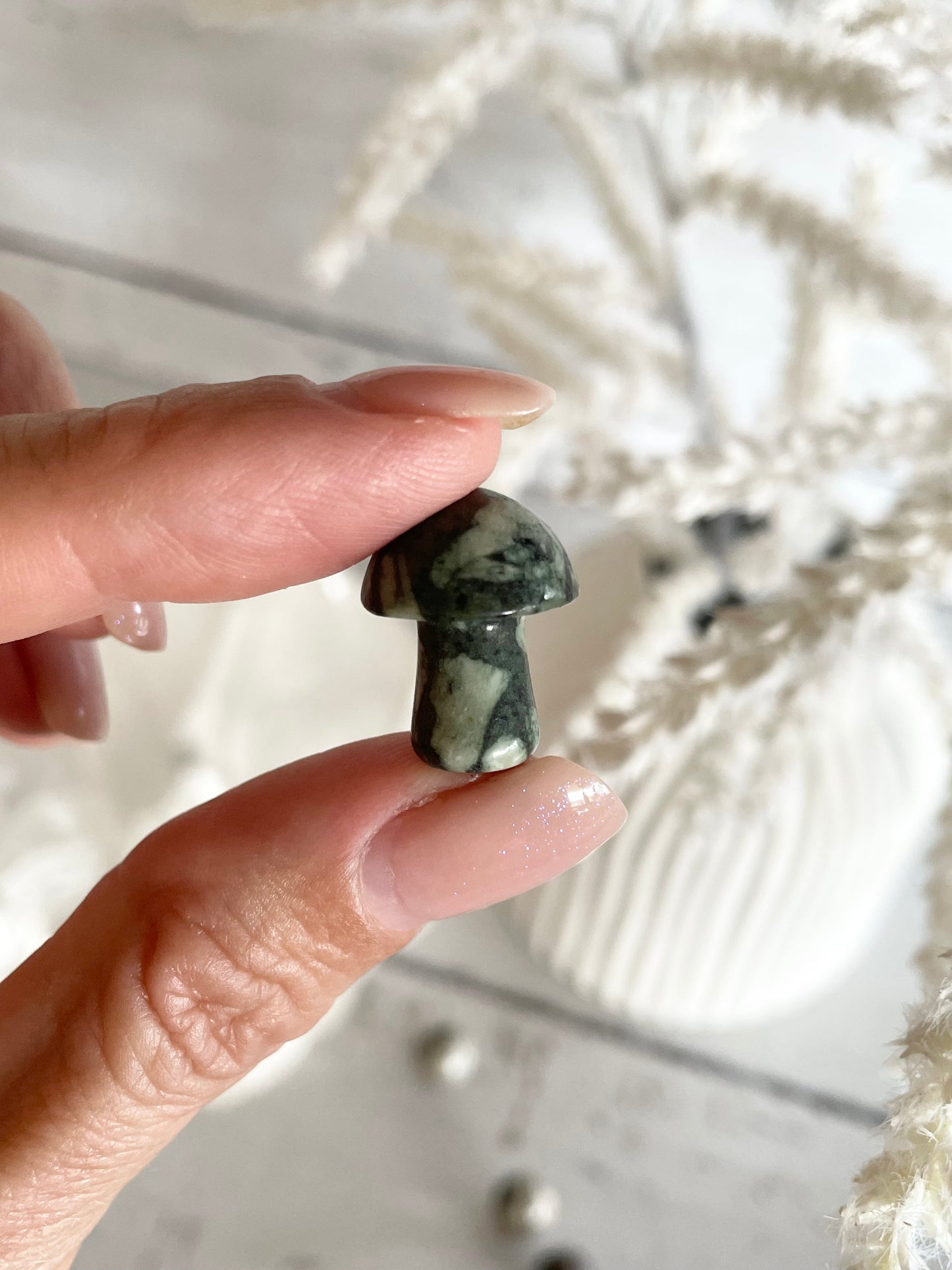 Intuitively chosen ~ Jasper Mushroom