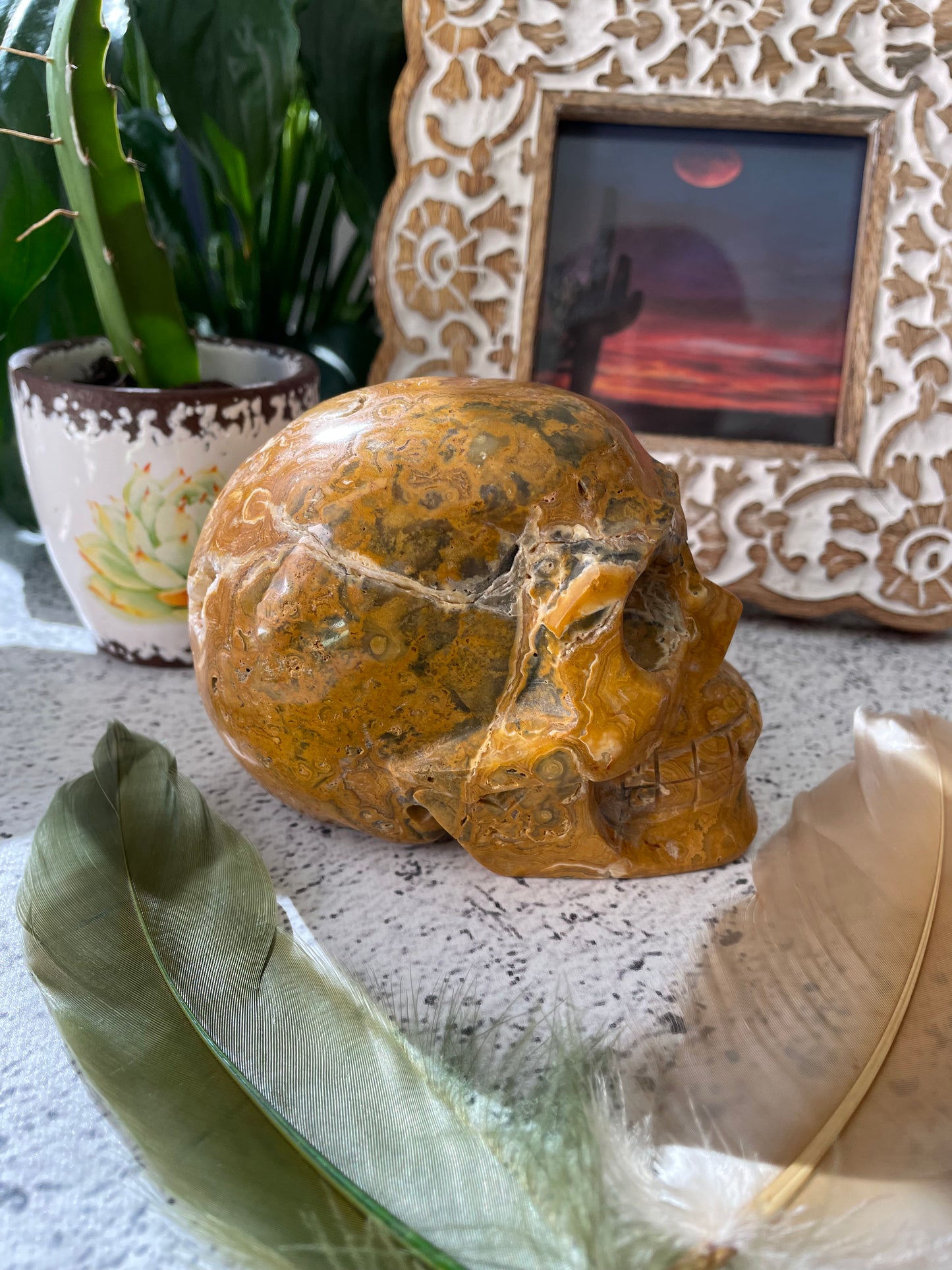 Crazy Lace Agate Skull