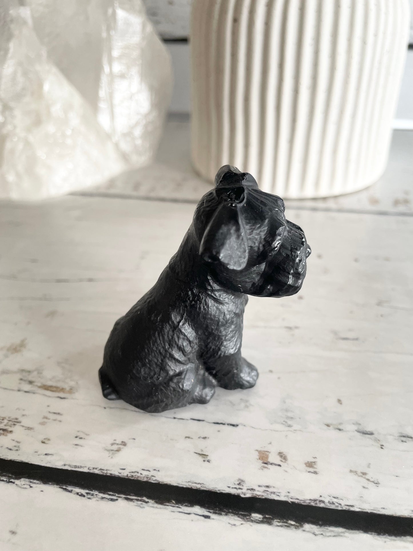 Black Obsidian Dog ~ Schnauzer (cutest face award)
