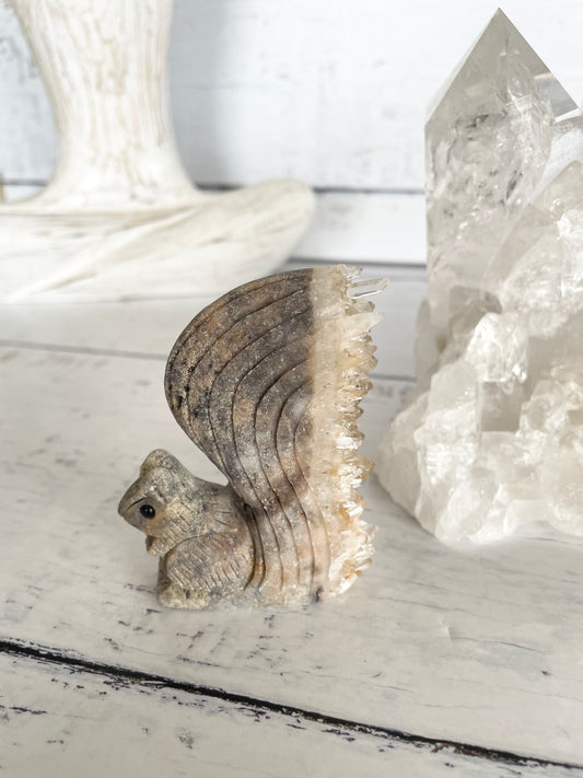 Quartz Squirrel 8